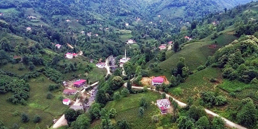 Balıklı Tepeleri'nde Tarih ve Doğa Tehlikede