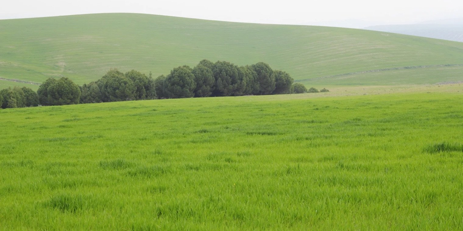 İRTİFAK HAKKI TESİS EDİLECEK TAŞINMAZ