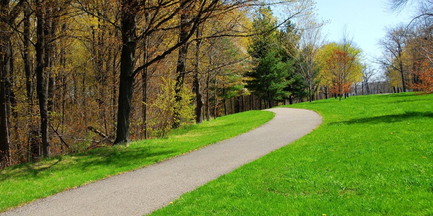 TAŞINMAZIN KİRAYA VERİLMESİ