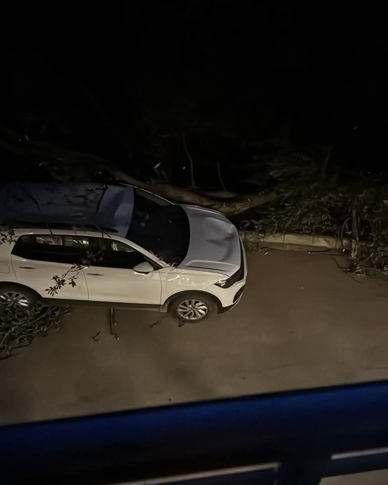 Çatılar Uçtu, Elektrikler Kesildi 1