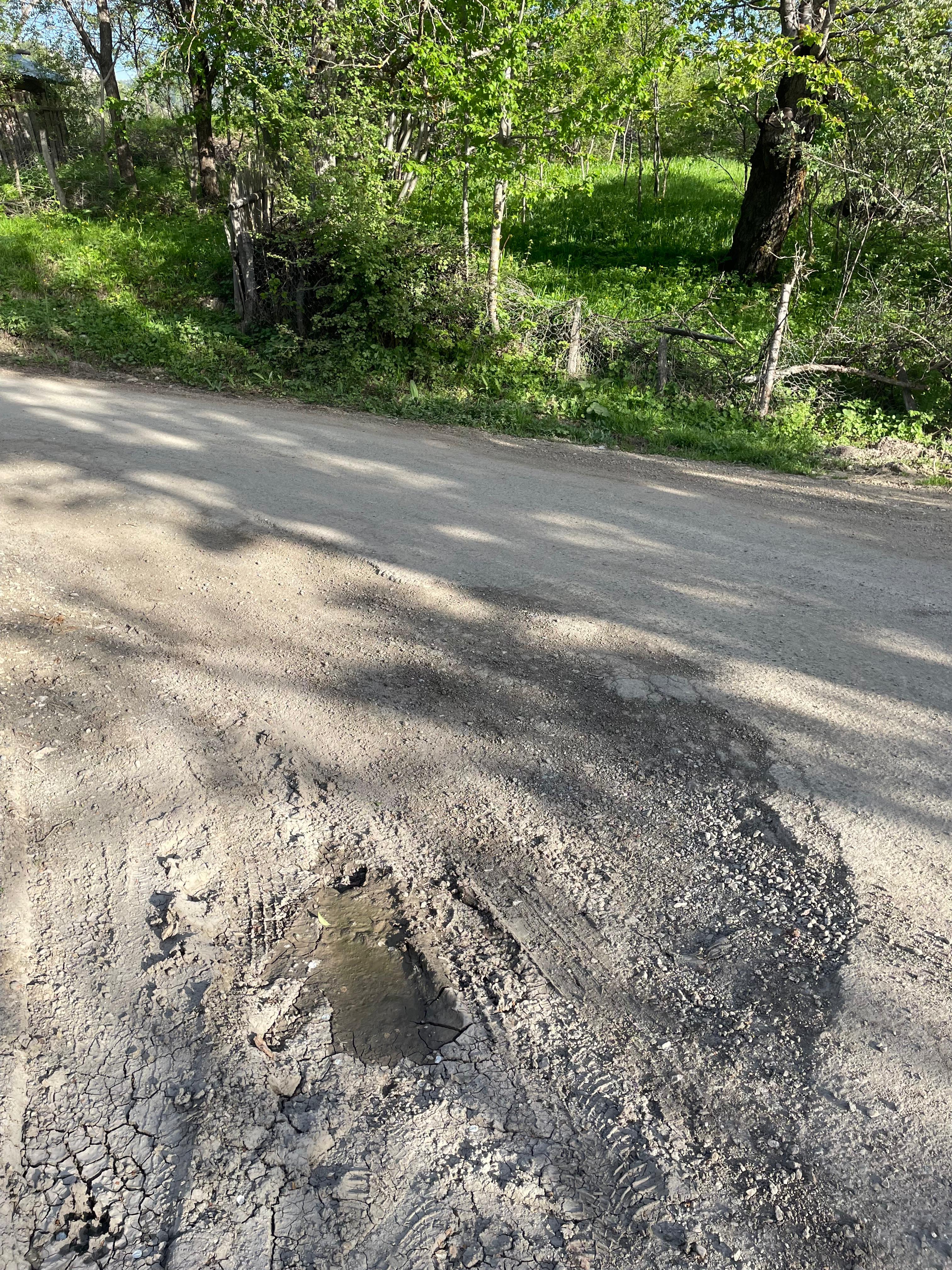 Ardanuç’ta Ulaşım Alarm Veriyor (2)
