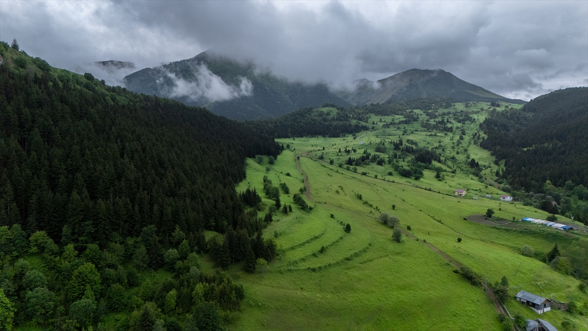 Artvin'in Yaylaları Doğaseverleri Ağırlıyor 2