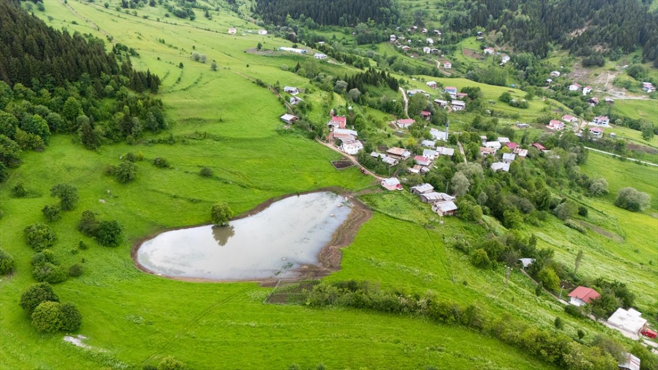 Artvin'in Yaylaları Doğaseverleri Ağırlıyor 1
