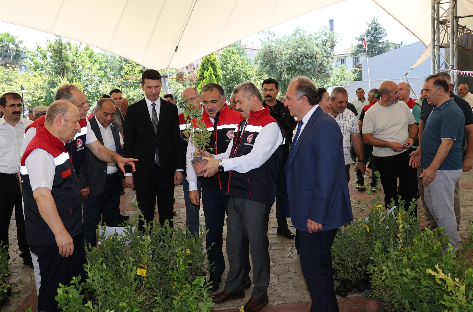 8 Bin Maviyemiş Fidanı Dağıtıldı-4