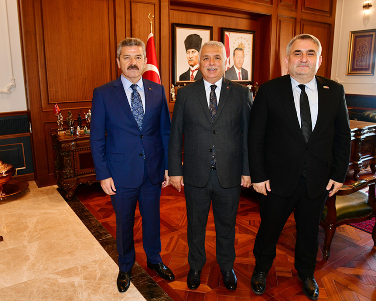Ziyaret 2
