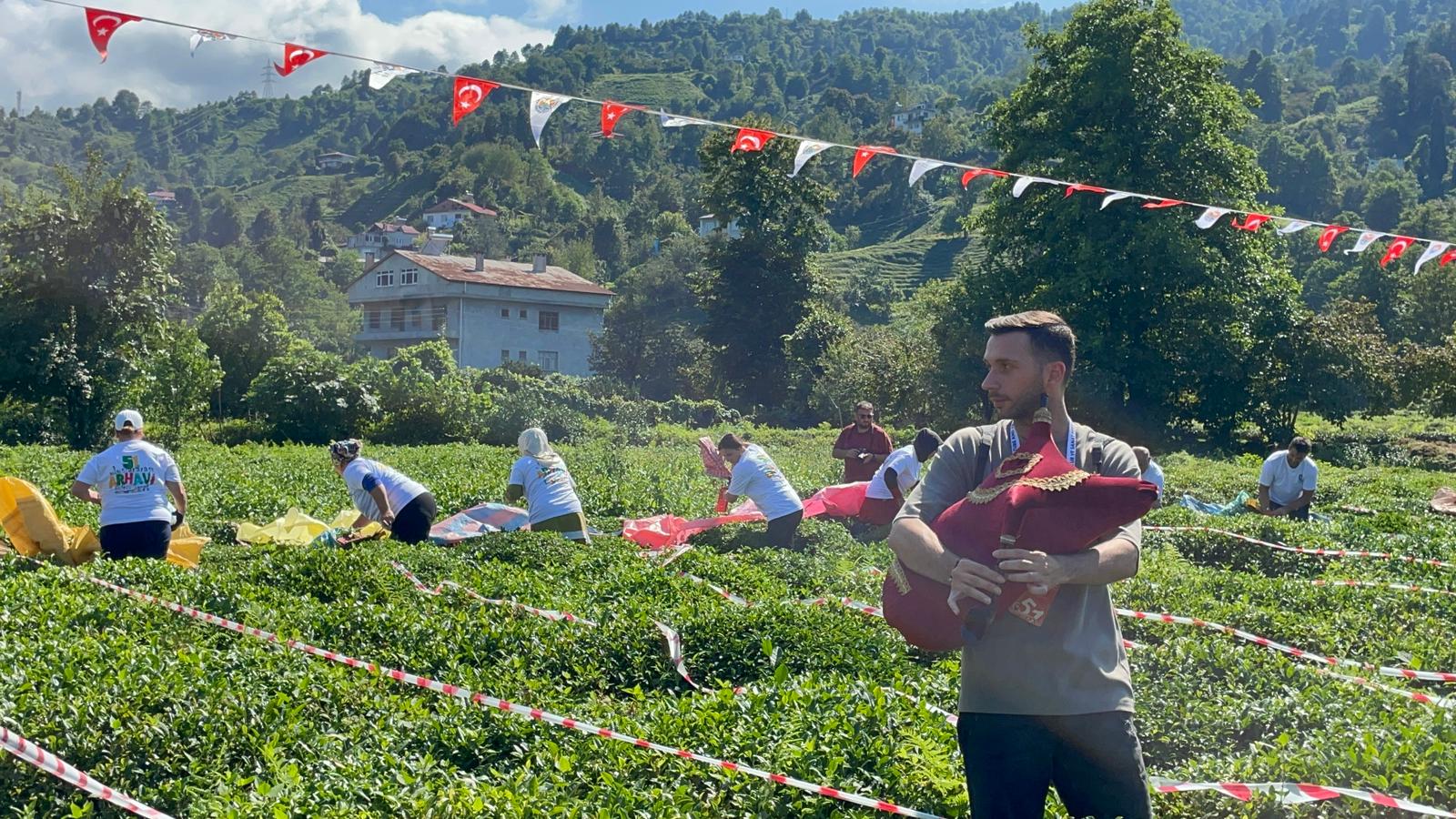 Çay Toplama Yarışma (1)