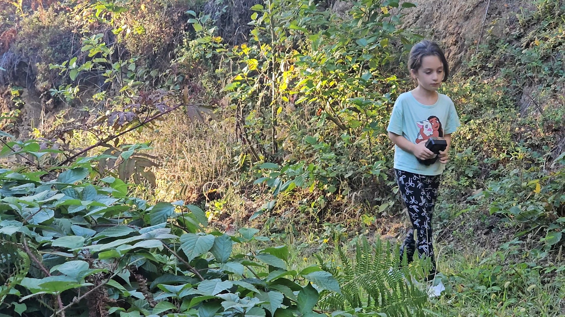 5 yaşındaki Bensu, fotokapanla yaban hayatını görüntülüyor