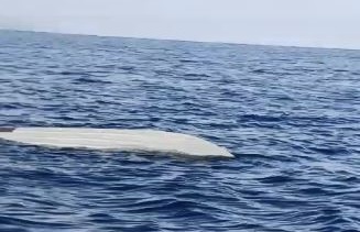 Artvin’de insansız deniz aracı şüphesi 1