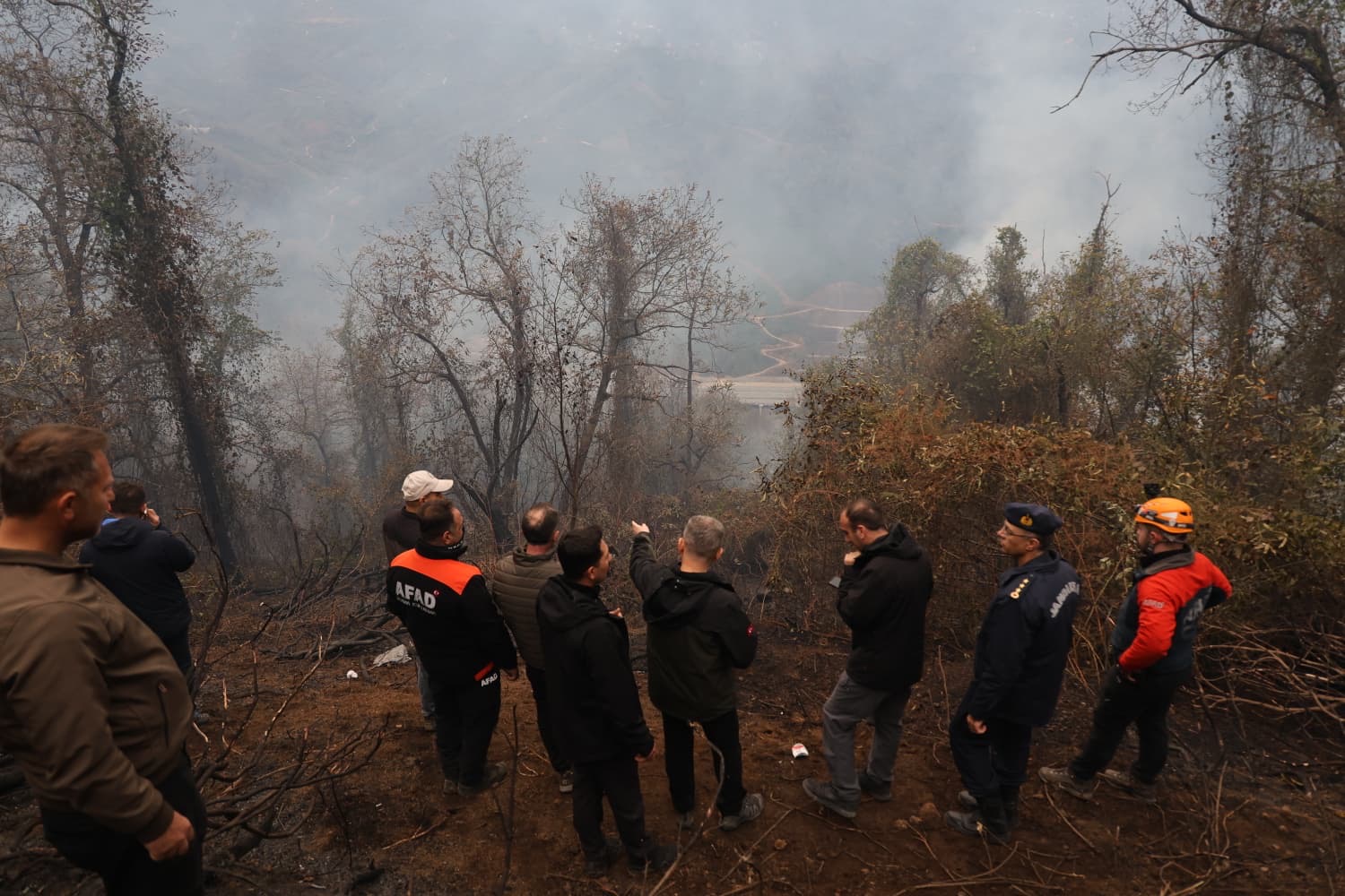 128D8B1F 297C 4D53 80E1 8Bdbc6C589A0