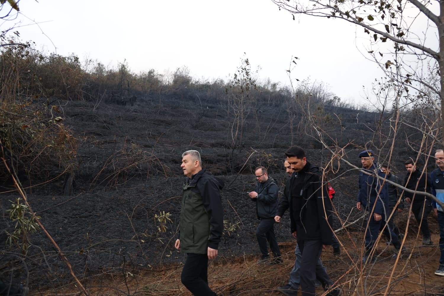 66E16D70 A690 4262 A925 3694B6E8A4B1