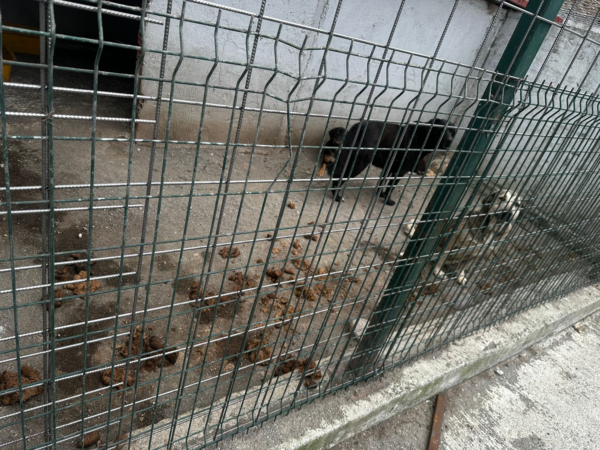 77C3F2Ee Fc28 4Dc2 81Ae 533D85Bbdf57