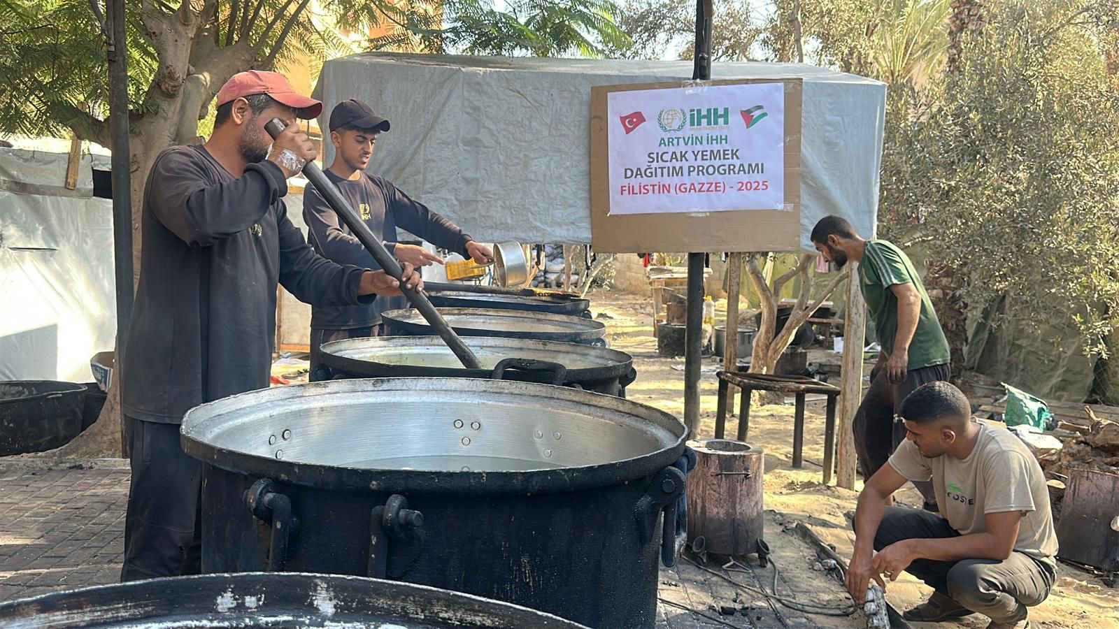 Aa49464F 4Ac3 407D Ae04 Aa403942F5Ea