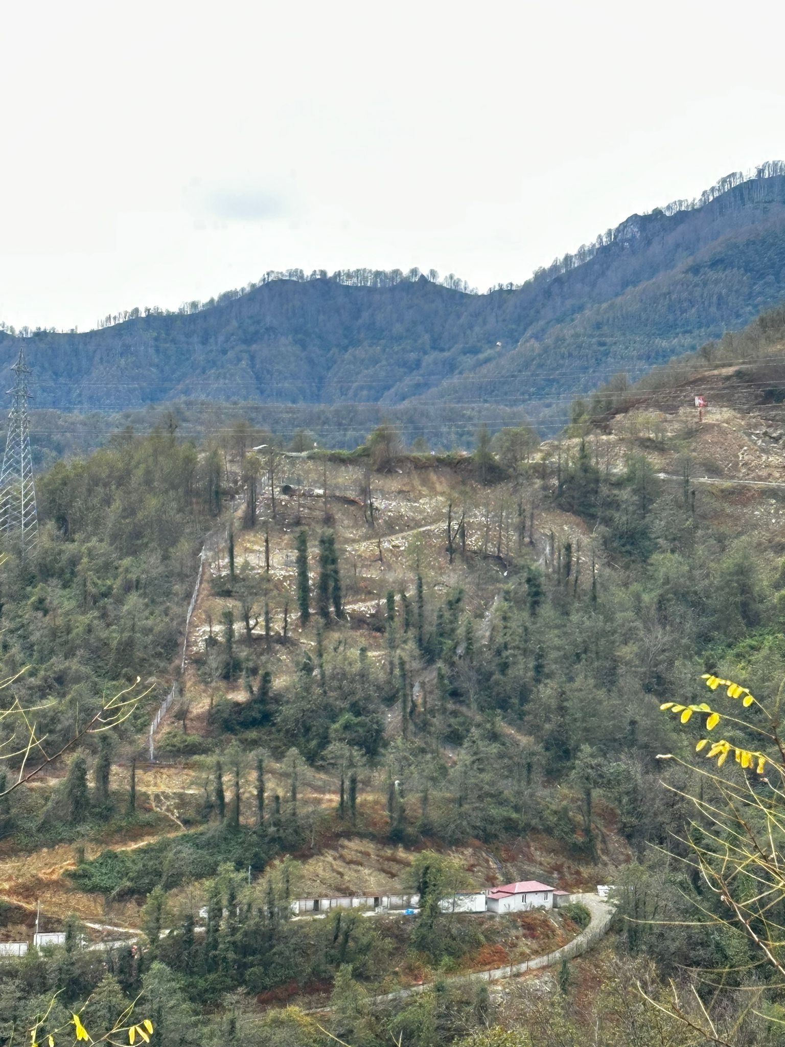 Cfed18F6 3A1A 49C8 8638 15B8F07C7040