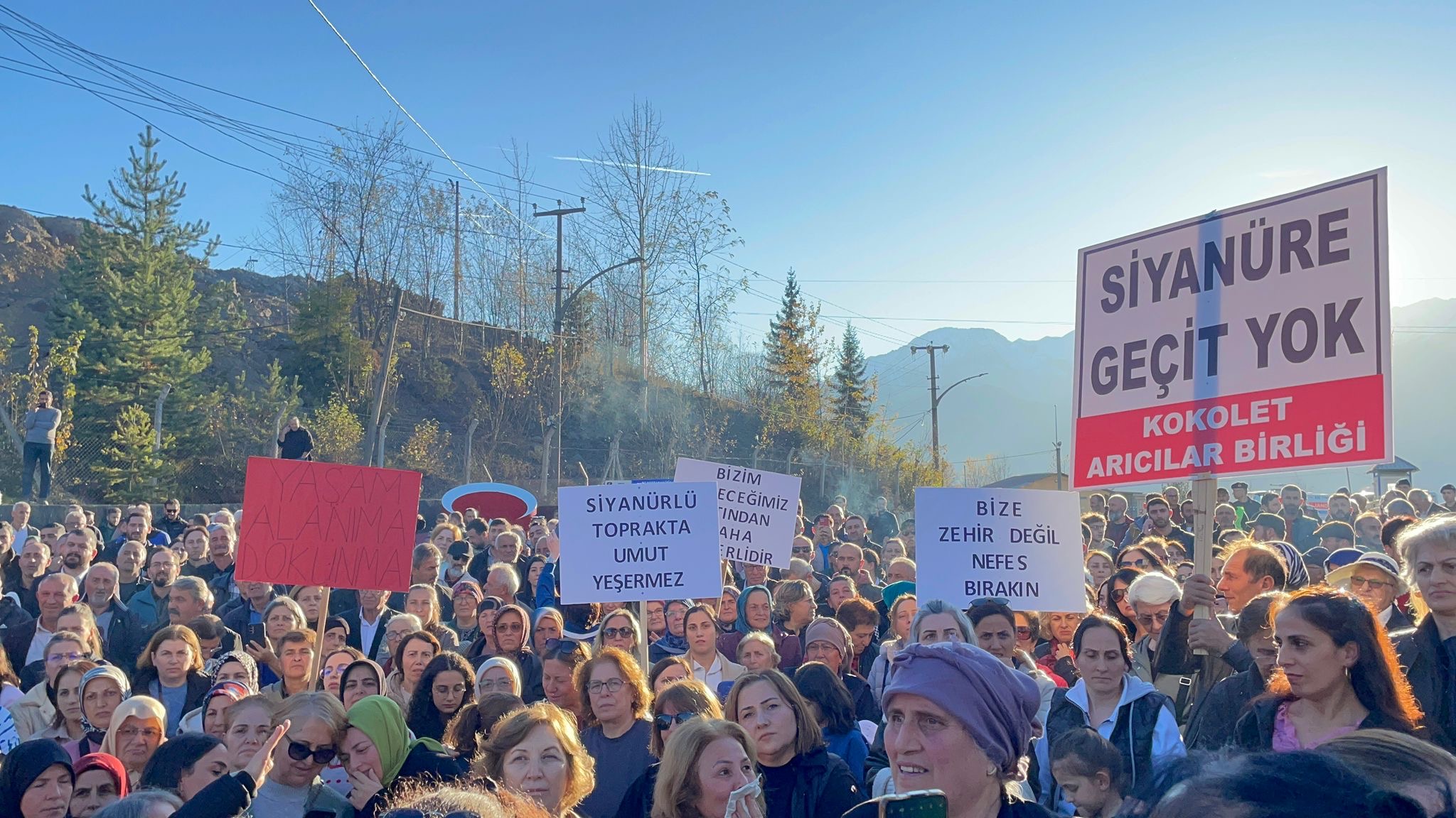 E5Ee58Da 4786 4A7B A959 705C40Ab10B0