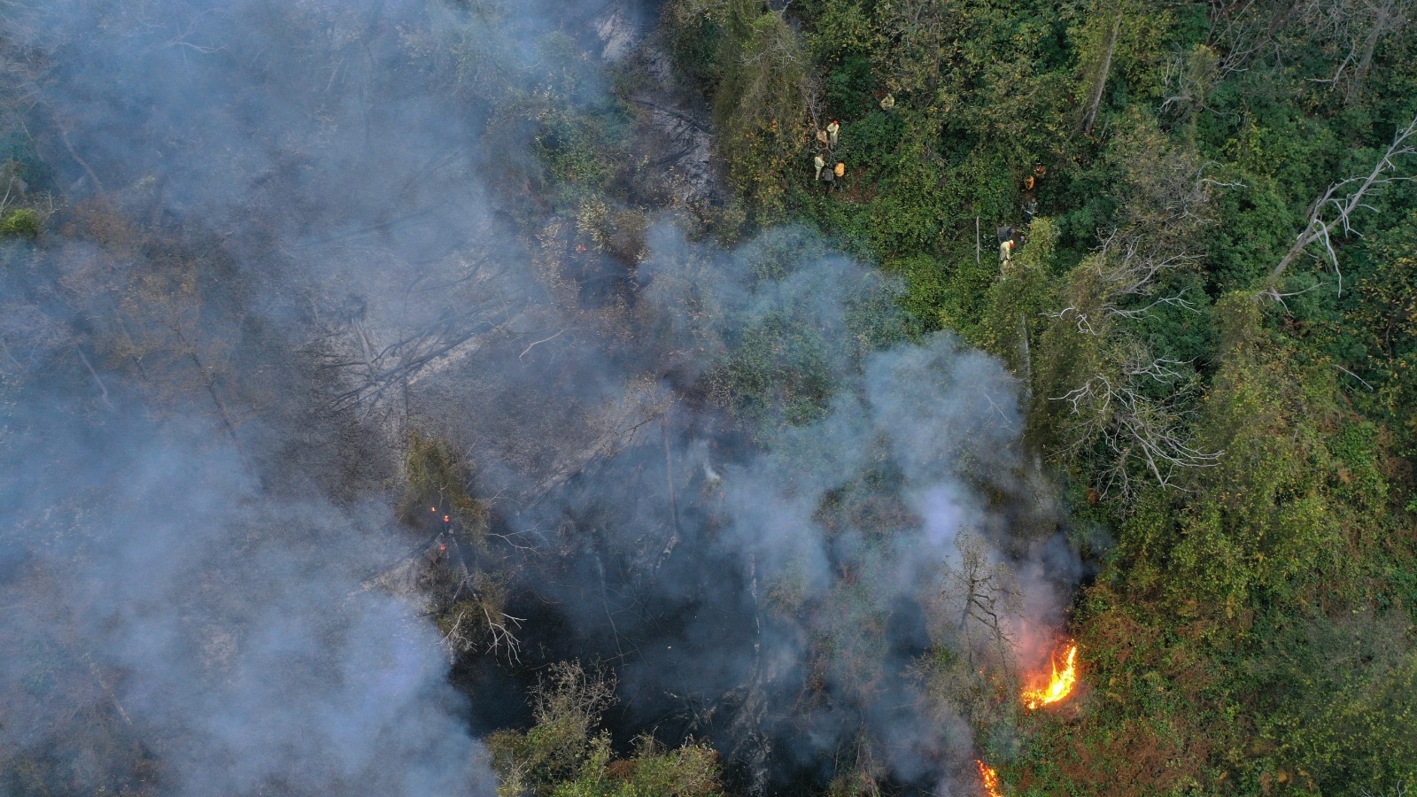 E624D4E0 8534 402C 89A6 9472879679A6