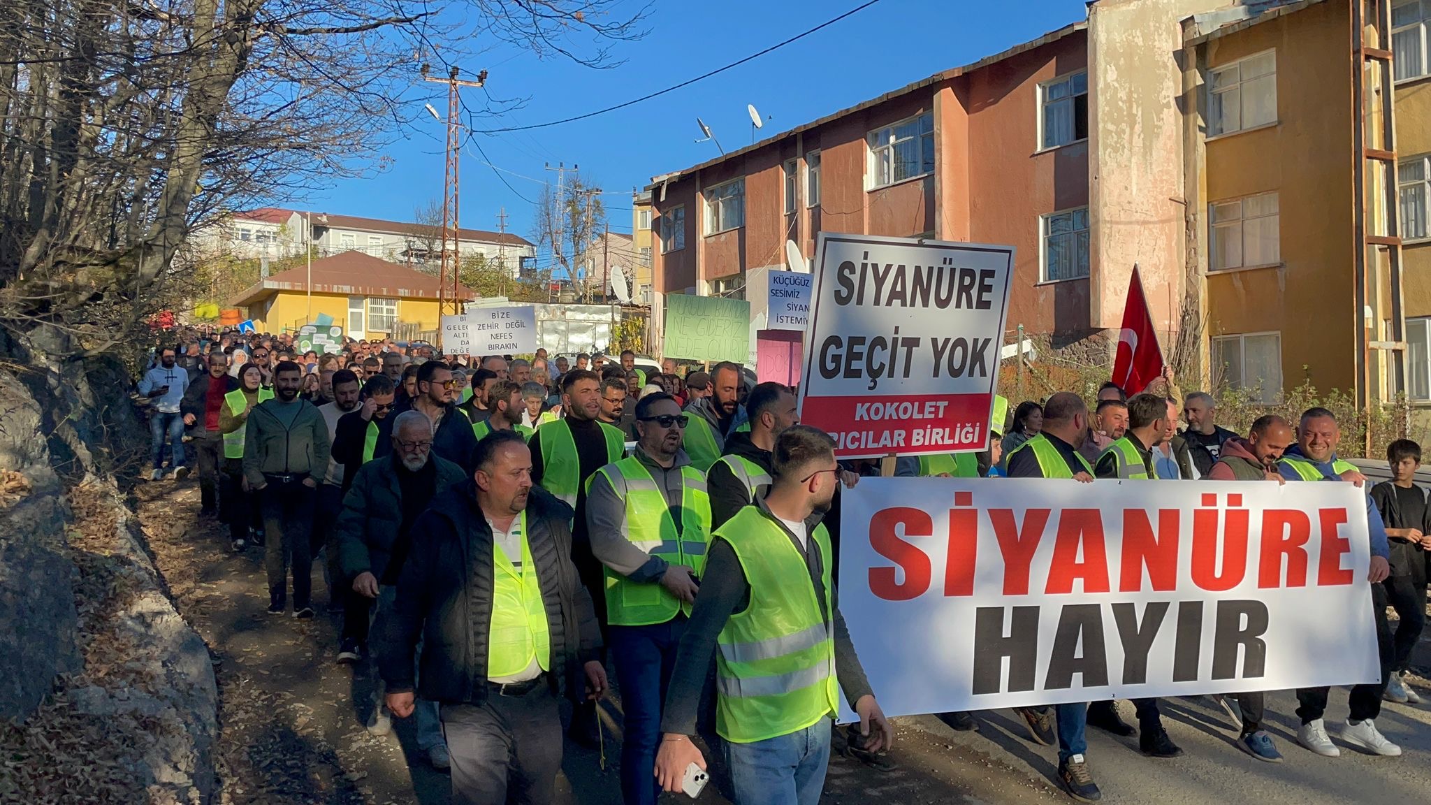 F1Dc224C A1Ff 4Ea7 Bafc 3436D3534E5B