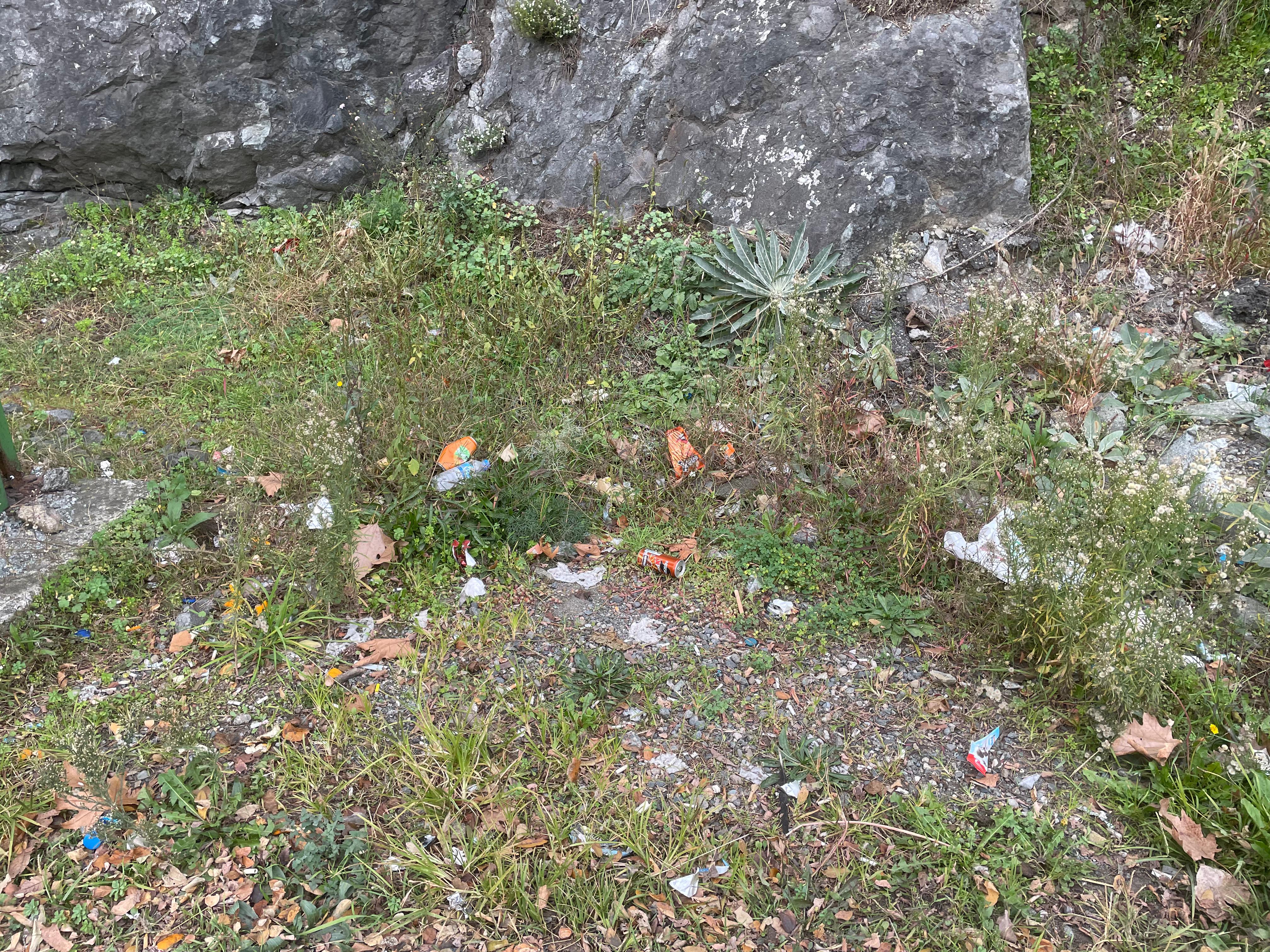 Kırık Durak Ve Çöp Görüntüsü Yoldan Geçenleri Şaşırtıyor (5)