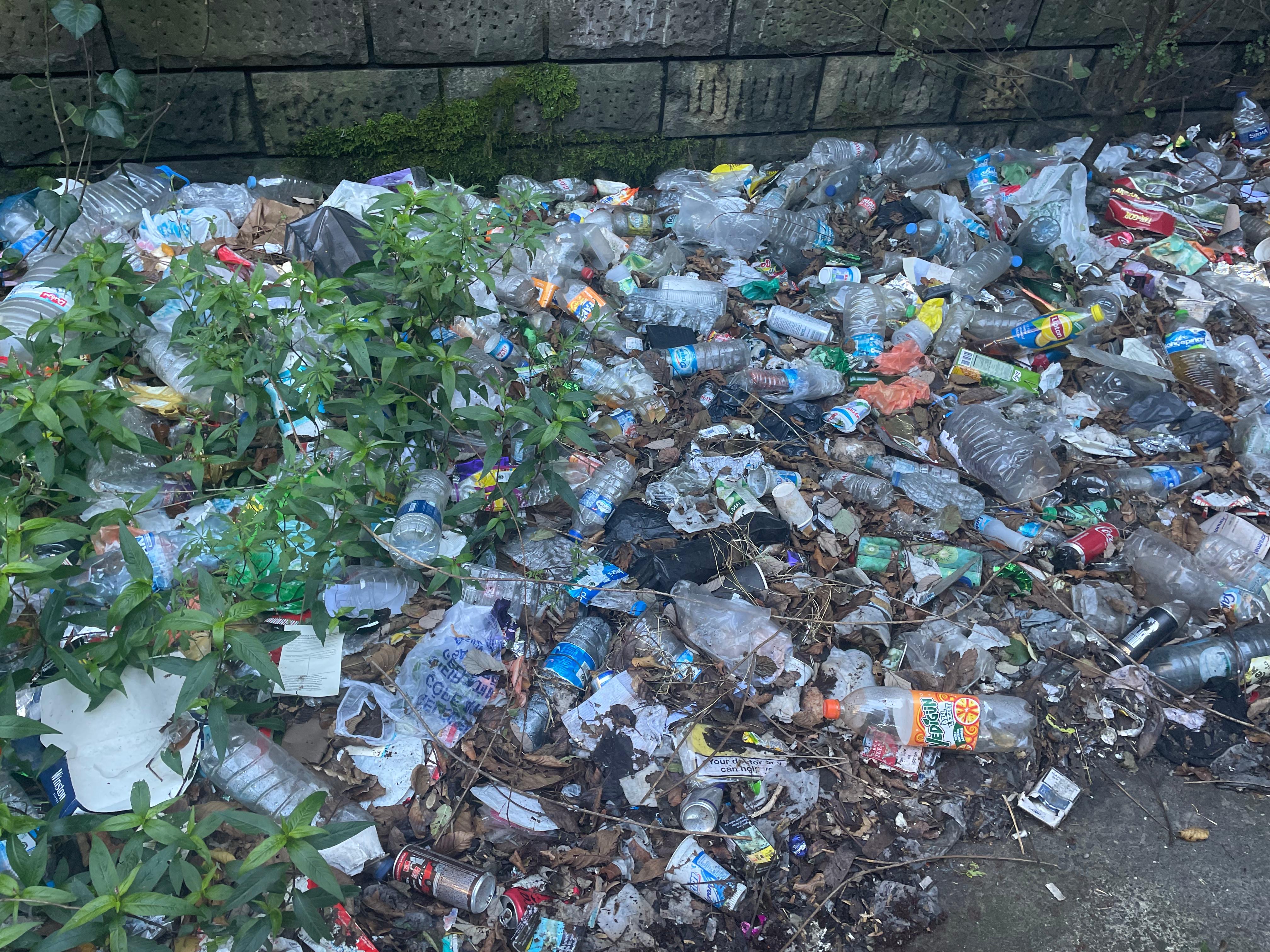 3576Bcff D555 4Bd0 898E A99E9Fbf6Bb0