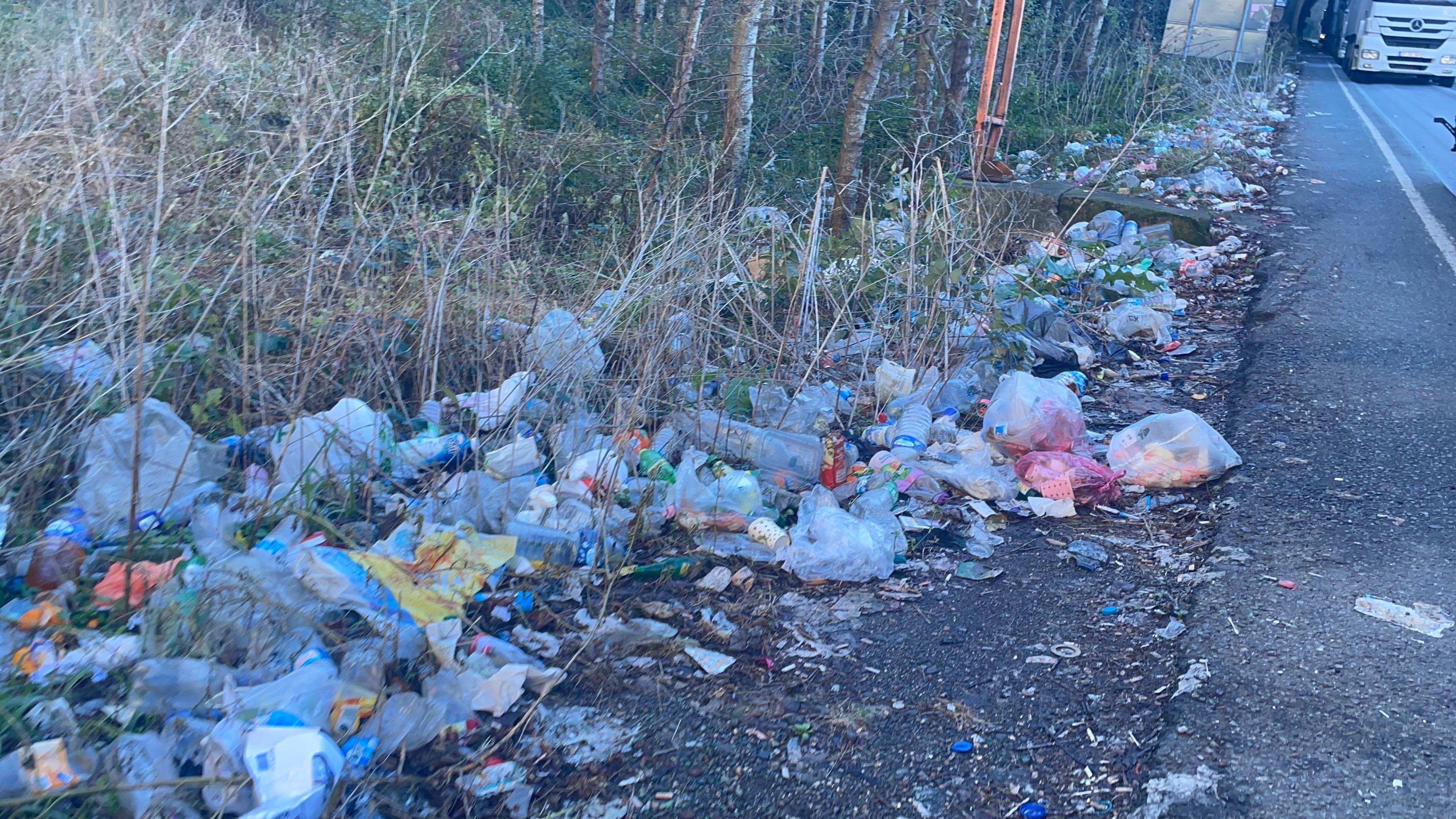 48Adb178 Fdc3 4Da2 Bf2D F4B3Ef153E31