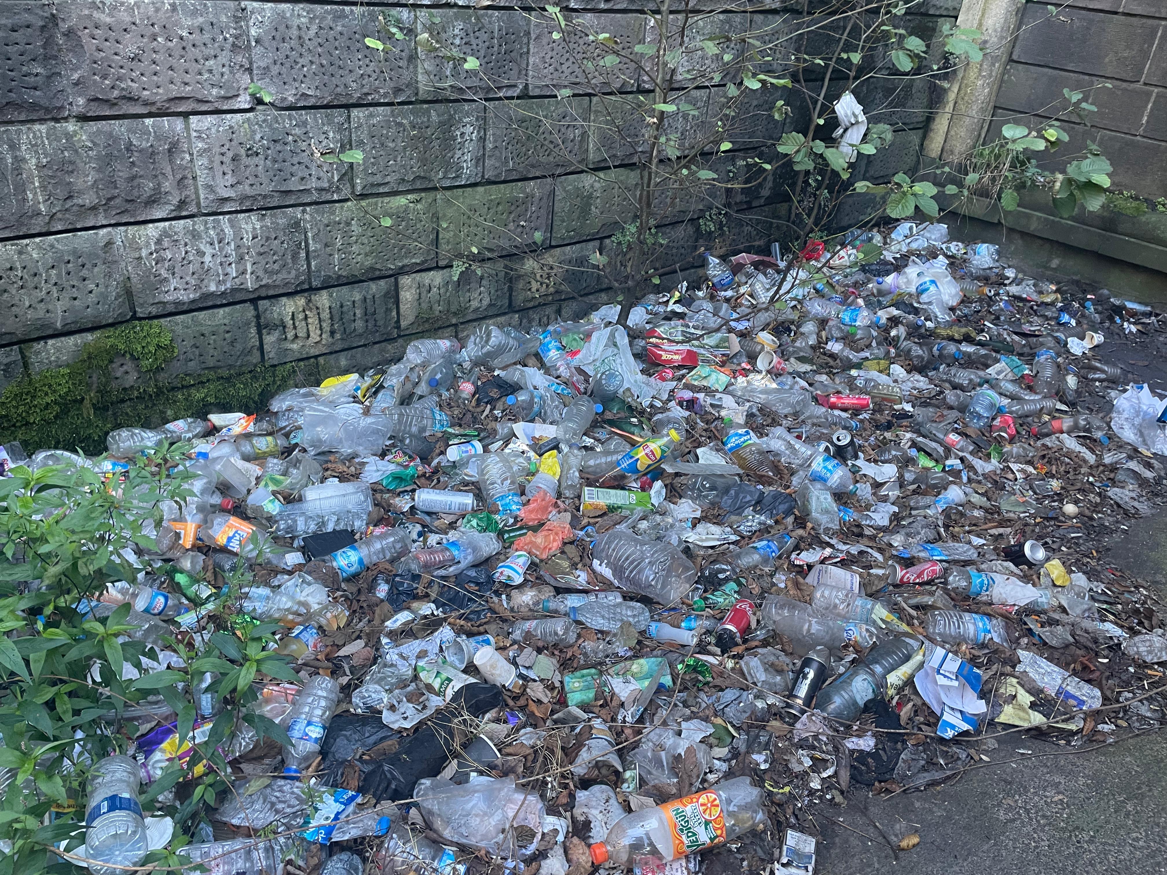 7D17082E F301 47Fe 88Ce 072Cb0413E48