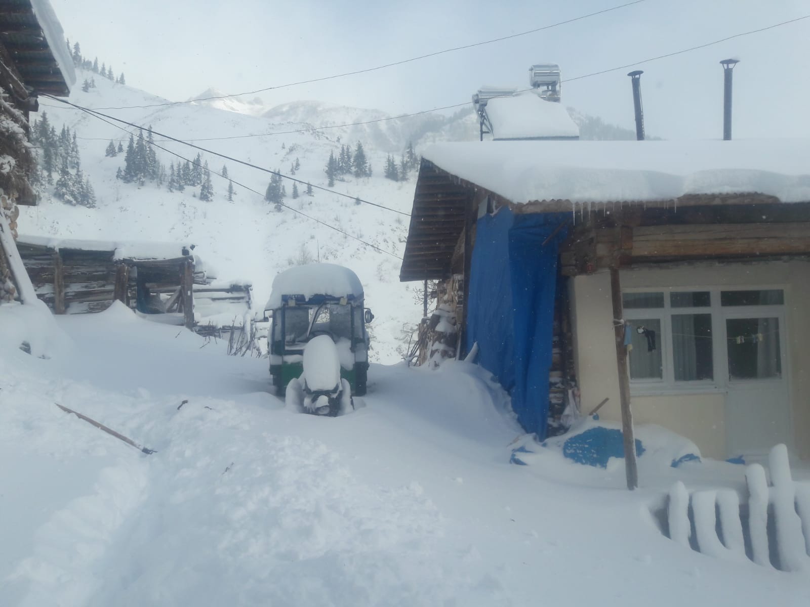 8936515C 6021 47E8 9B81 3F23D5605531