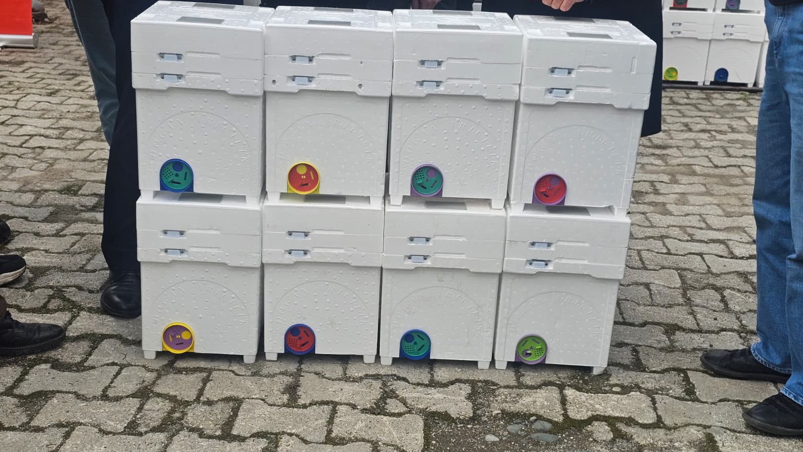 Artvin’de Arıcılara Ana Arı Üretim Seti Desteği-2