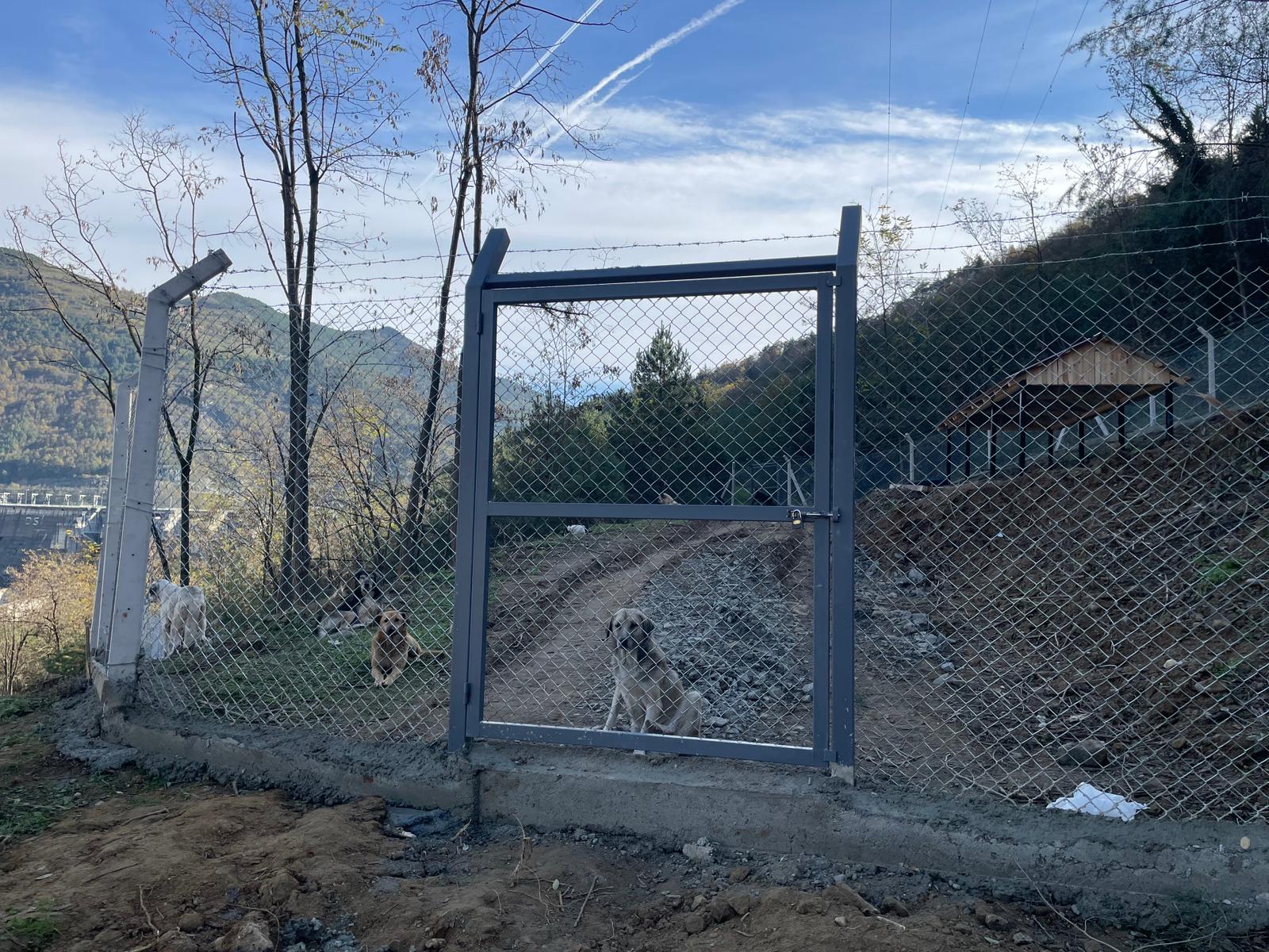 “Modern Ve Doğal Yaşam Alanı Oluşturduk”2