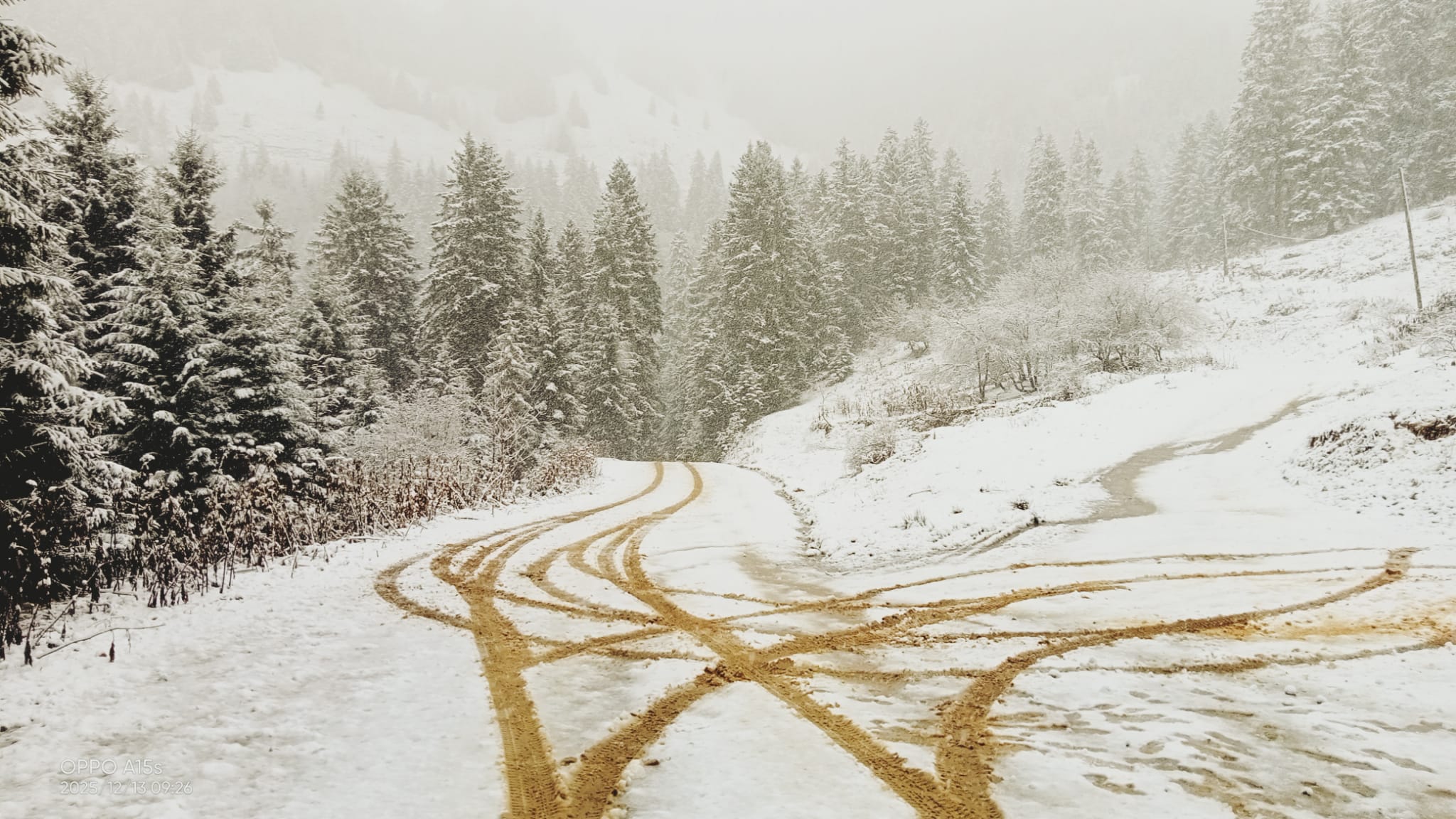 Artvin’in Yüksek Kesimleri Beyaza Büründü-2