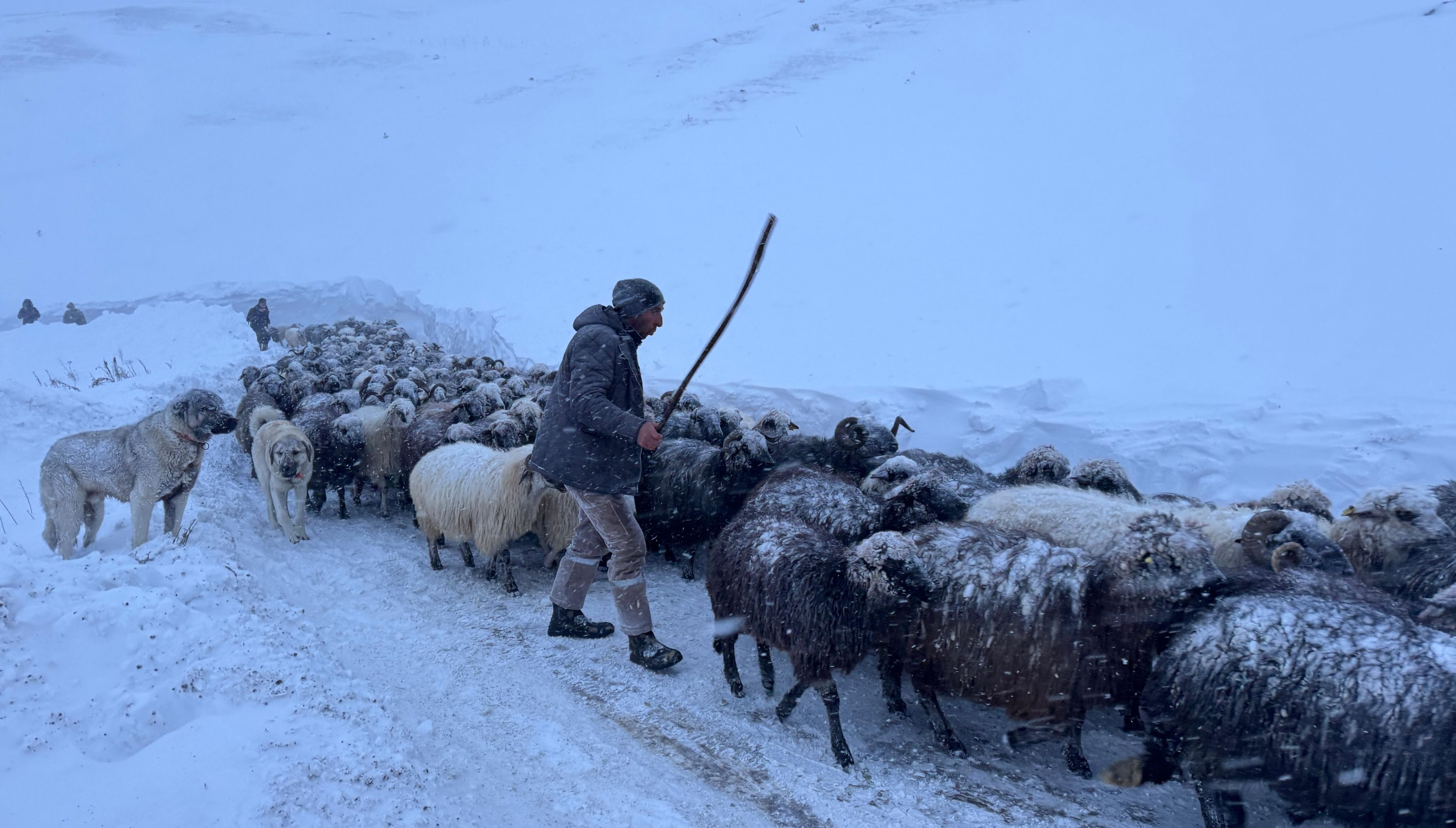 1 Kişi Hayatını Kaybetti, 2 Kişi İçin Arama Çalışmaları Sürecek