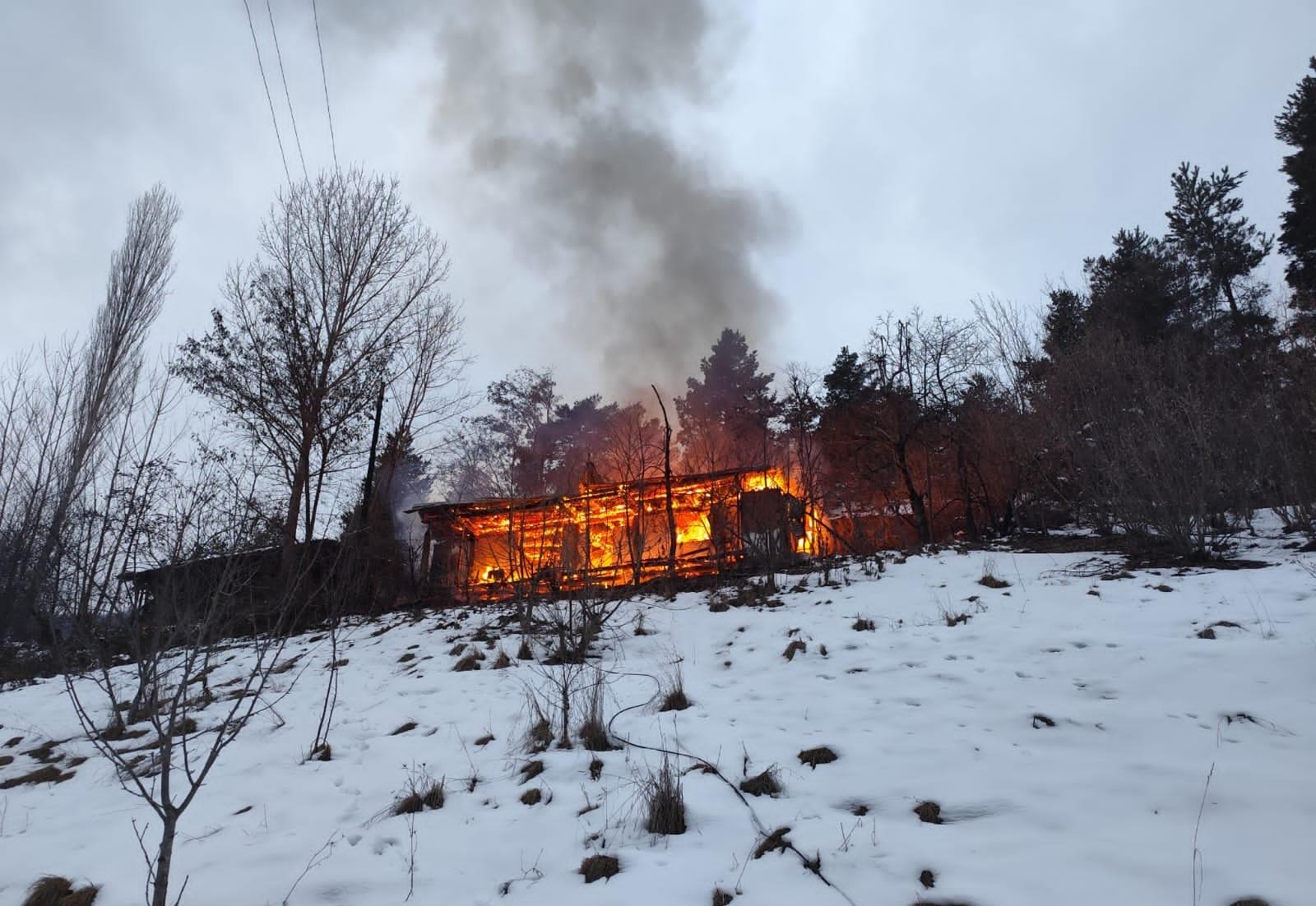 871981Cb 495E 46Dc A296 C25D441Fefe5