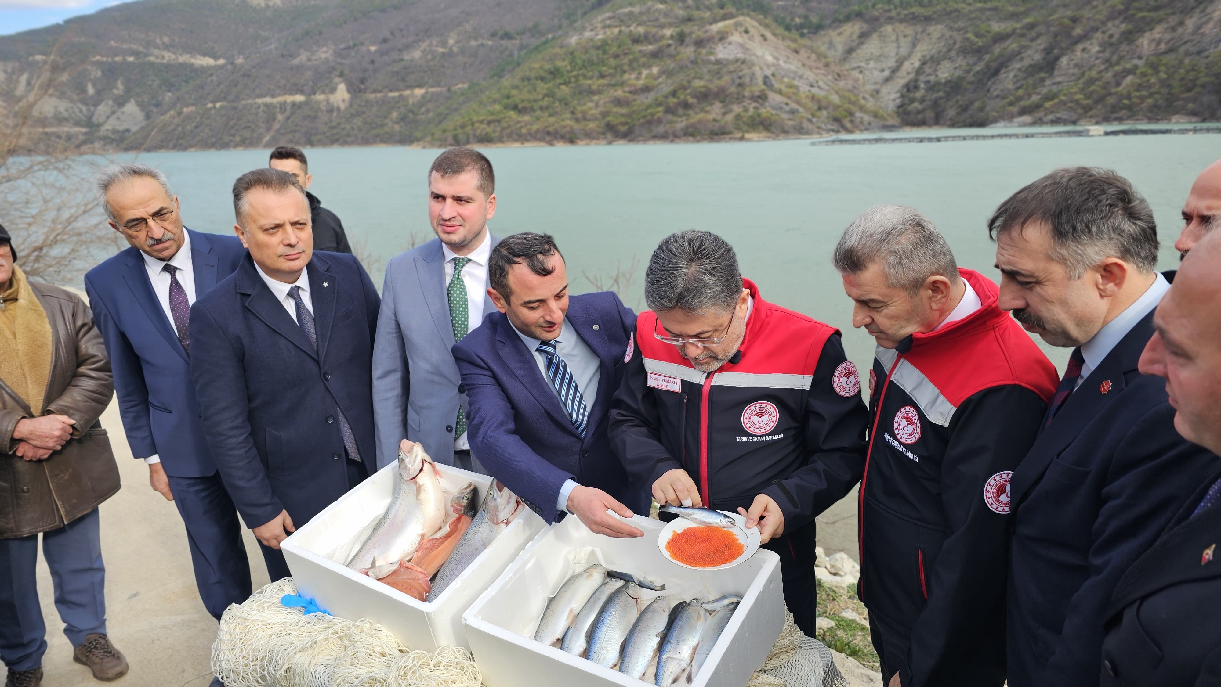 Cc8093A7 56C8 4330 9Fa1 E2A8Fd371C51