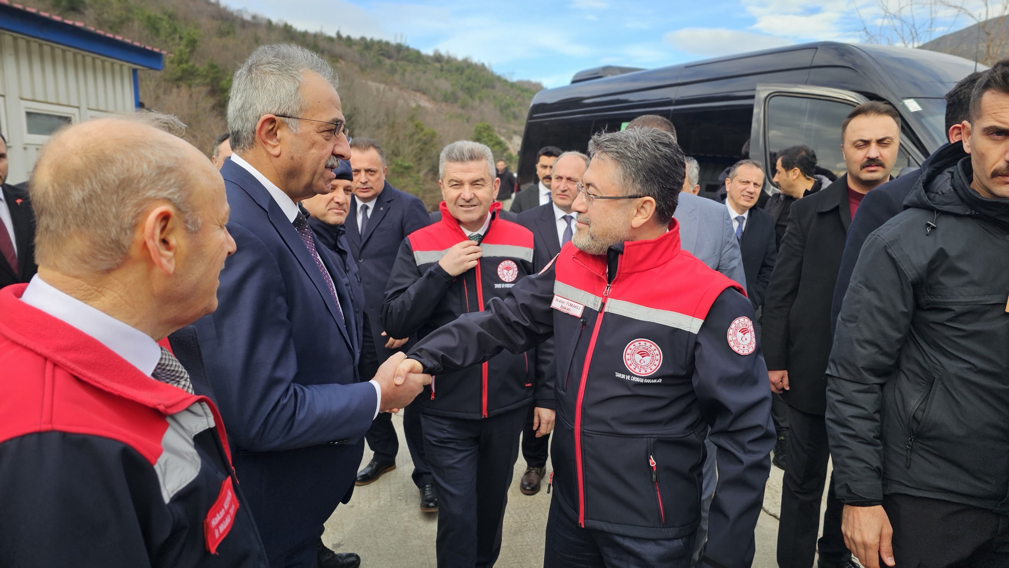 Db5E43A6 2335 4879 A0B6 5Ff9E8Be8Ffb