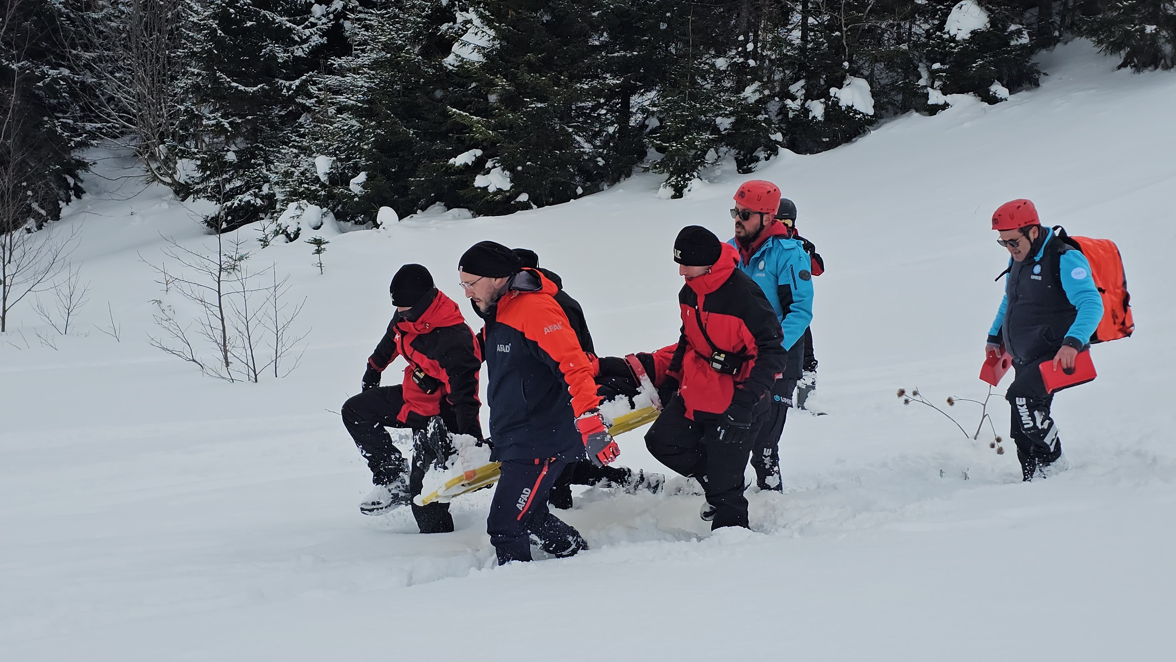 Df13779B 016A 4417 8D45 A27Bf92F82B7