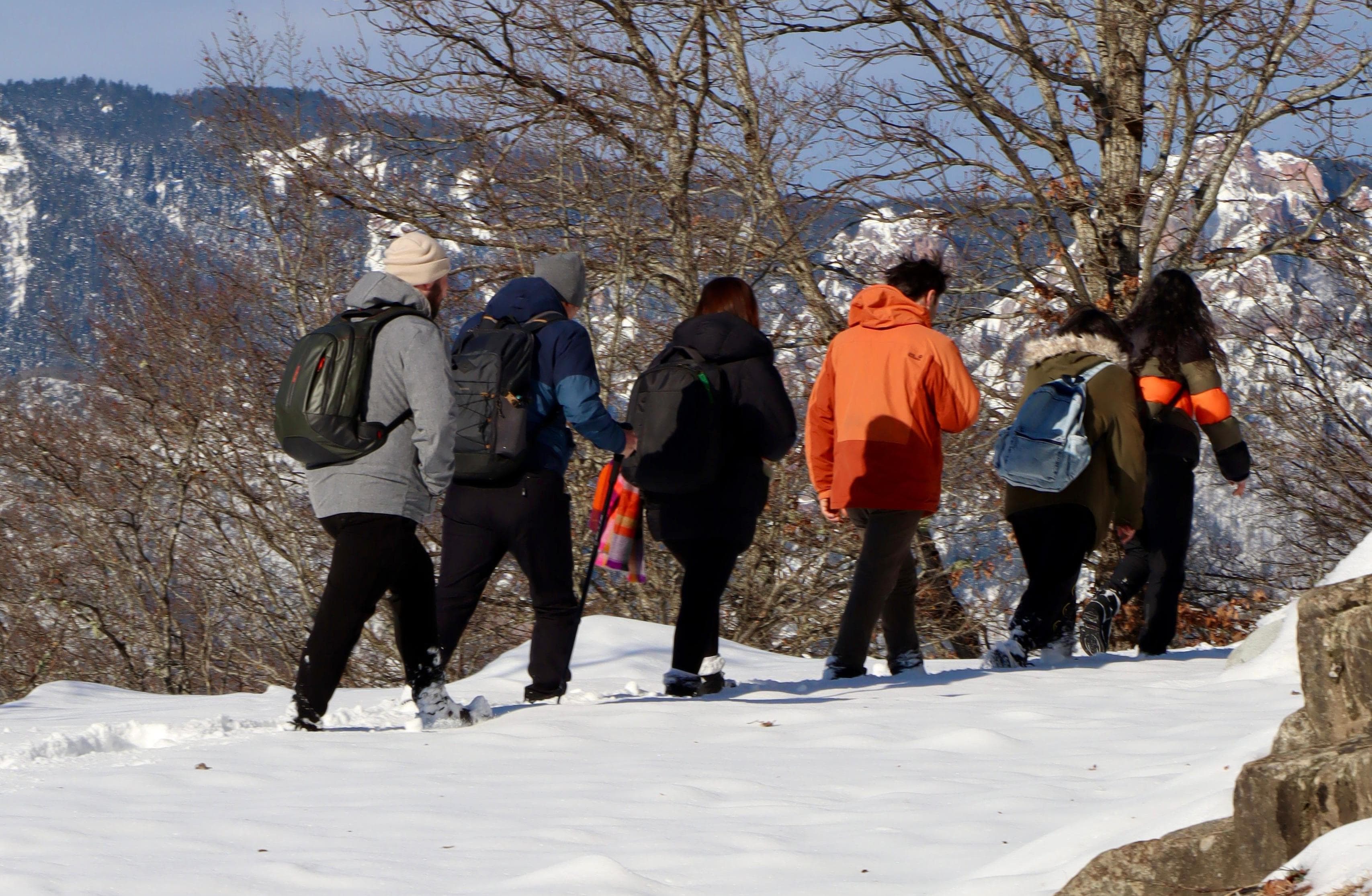 F2C00F43 49Fc 4E37 9186 6Af11718Cf65