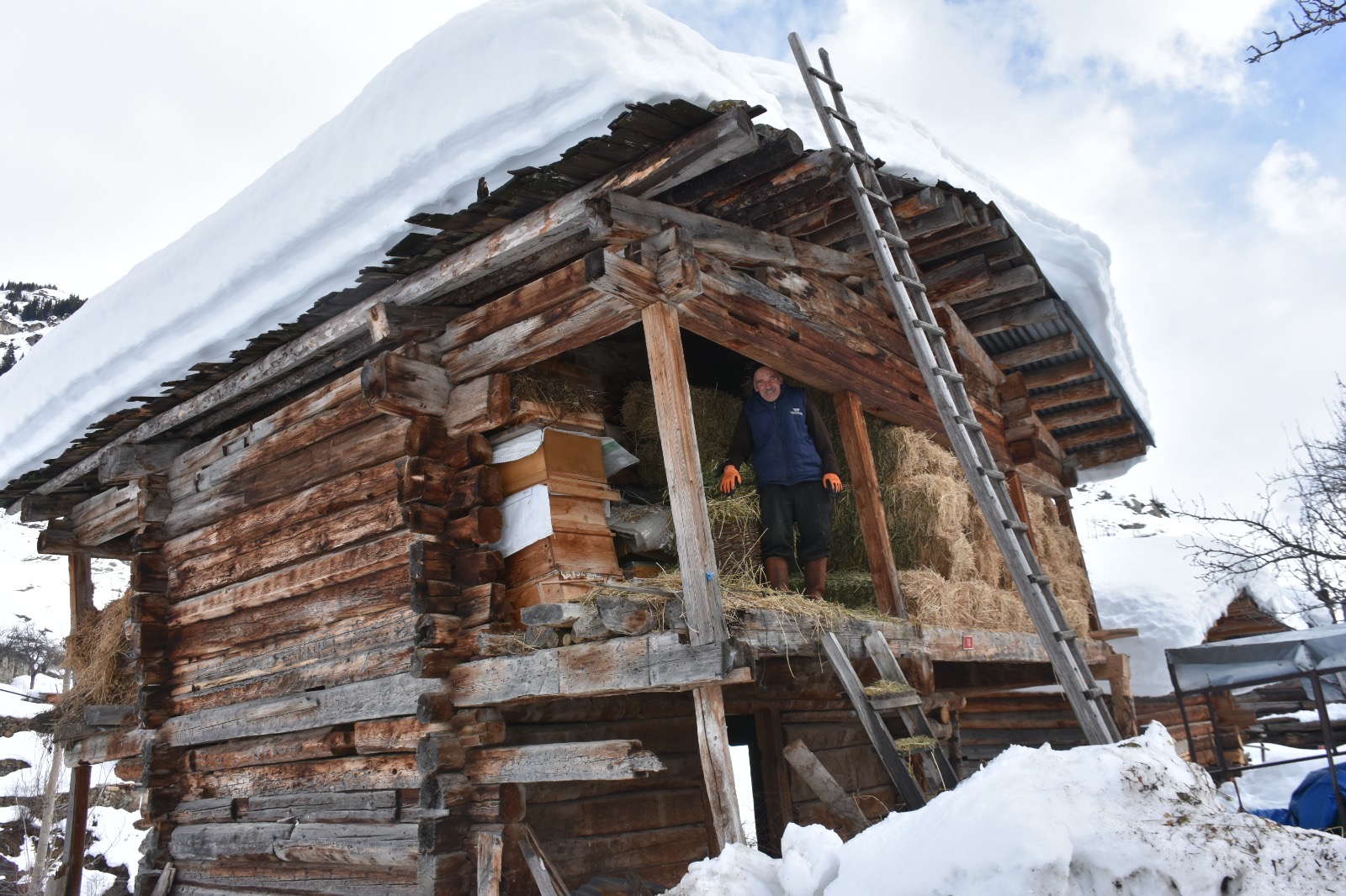 61A517Bc Bdcb 4C9E Abdd 8104Ef948Ae0