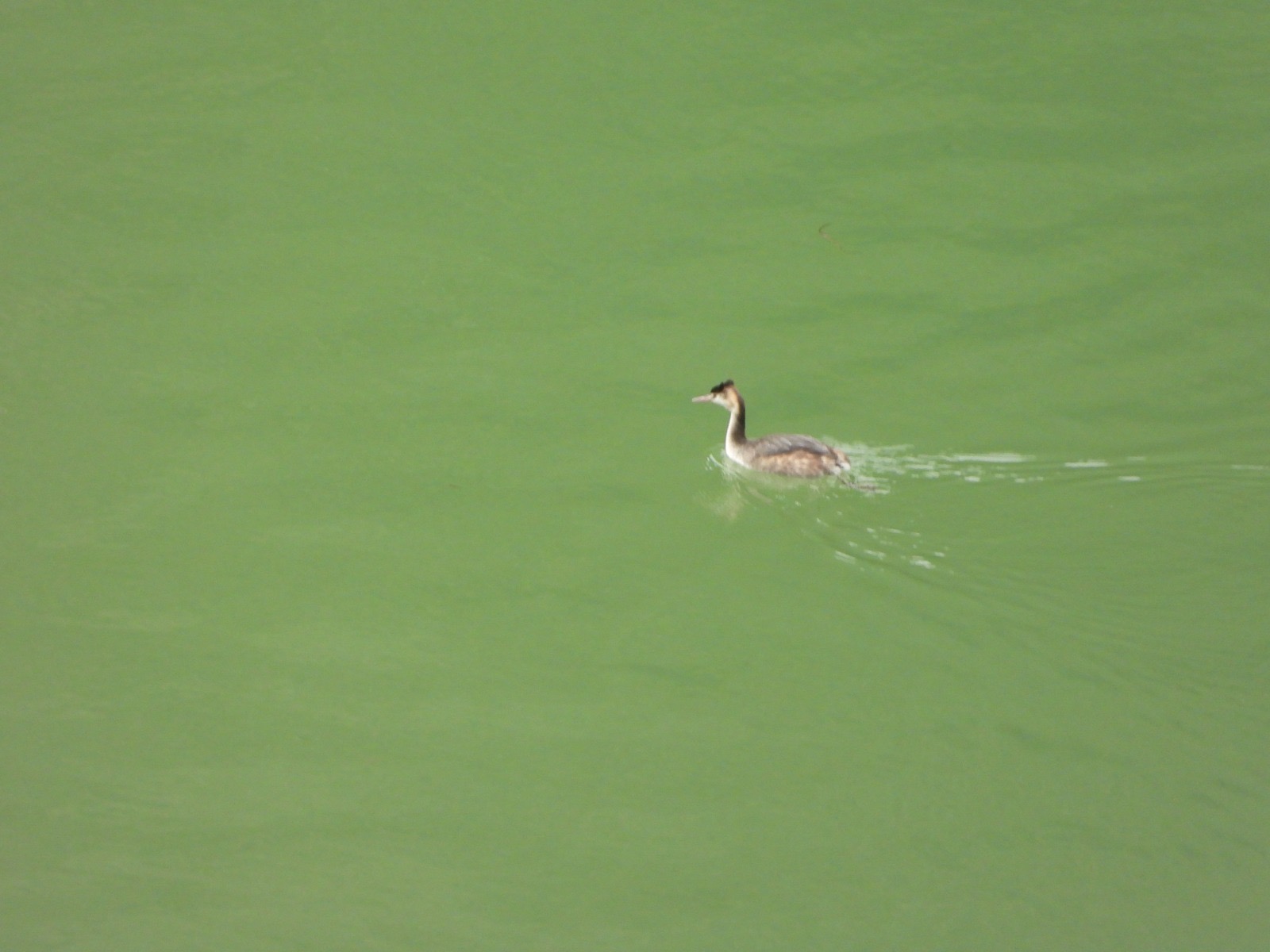 89D721E2 3Ff7 4355 Aa83 26802B53Dbae