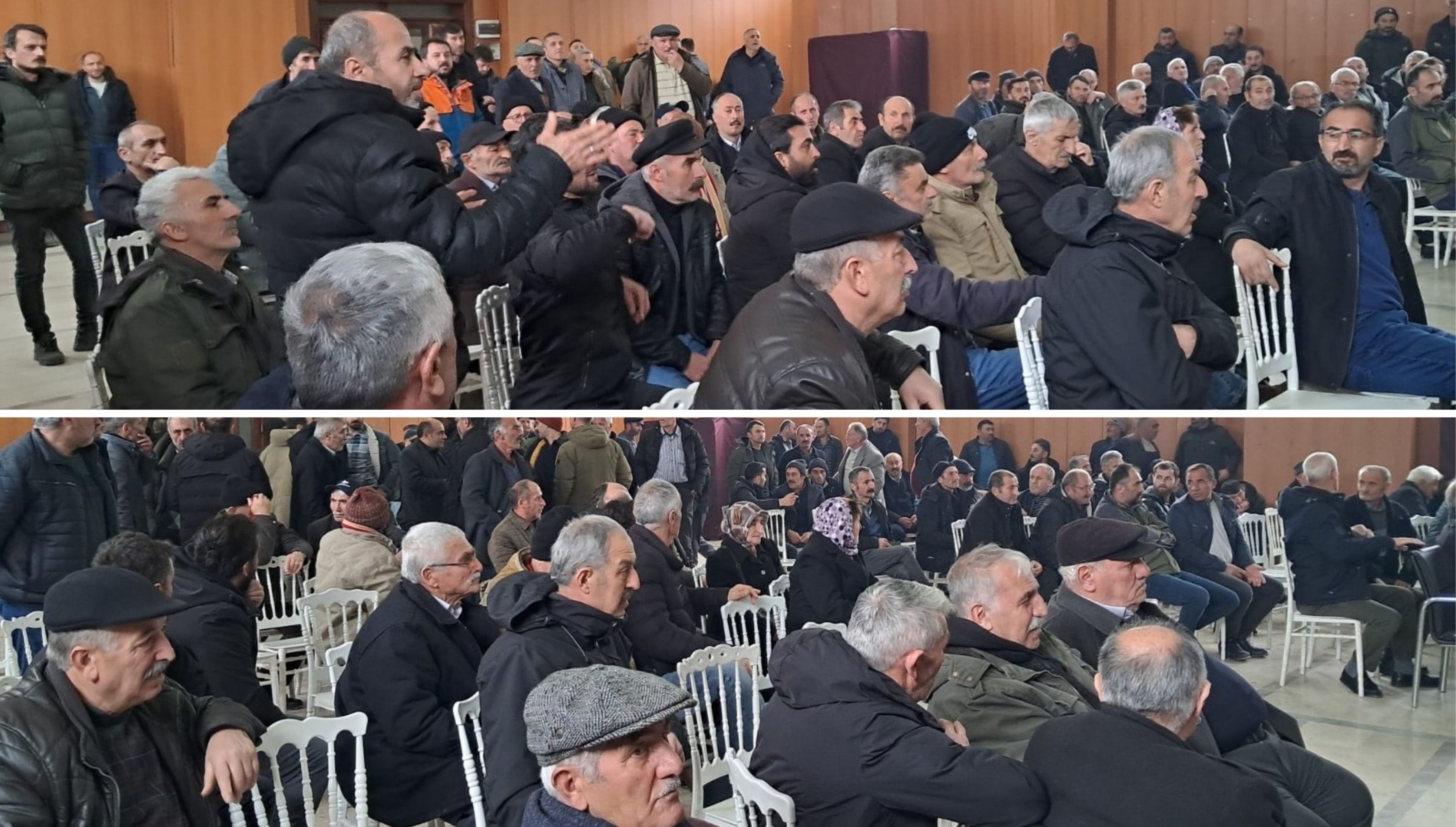 Artvin Hayvancılığında Yeni Dönem