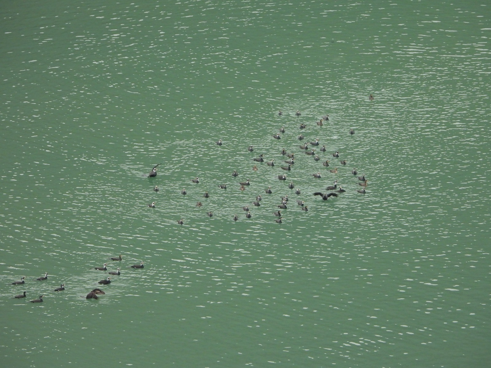 B348D216 7C2C 4A23 9812 Bb3Ddf8Abfcf