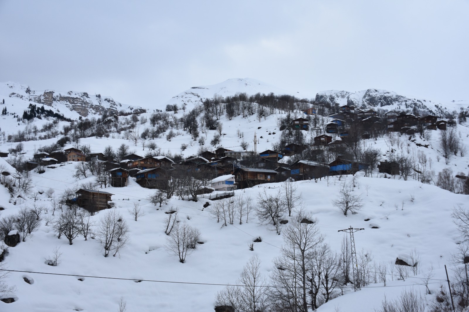 C1A9475D 32De 4394 91D1 73Cbbfe820C1