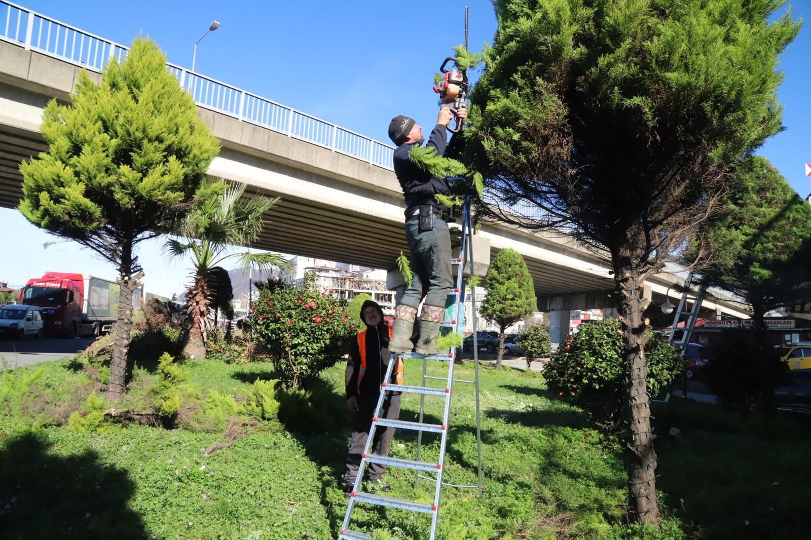 Hopa’da Sahada Yoğun Çalışma (3)