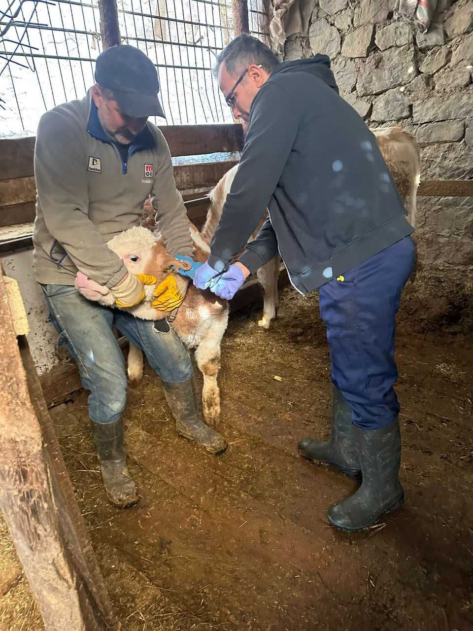 14975F2F F8A0 4Ad4 B722 C698003Fe97E