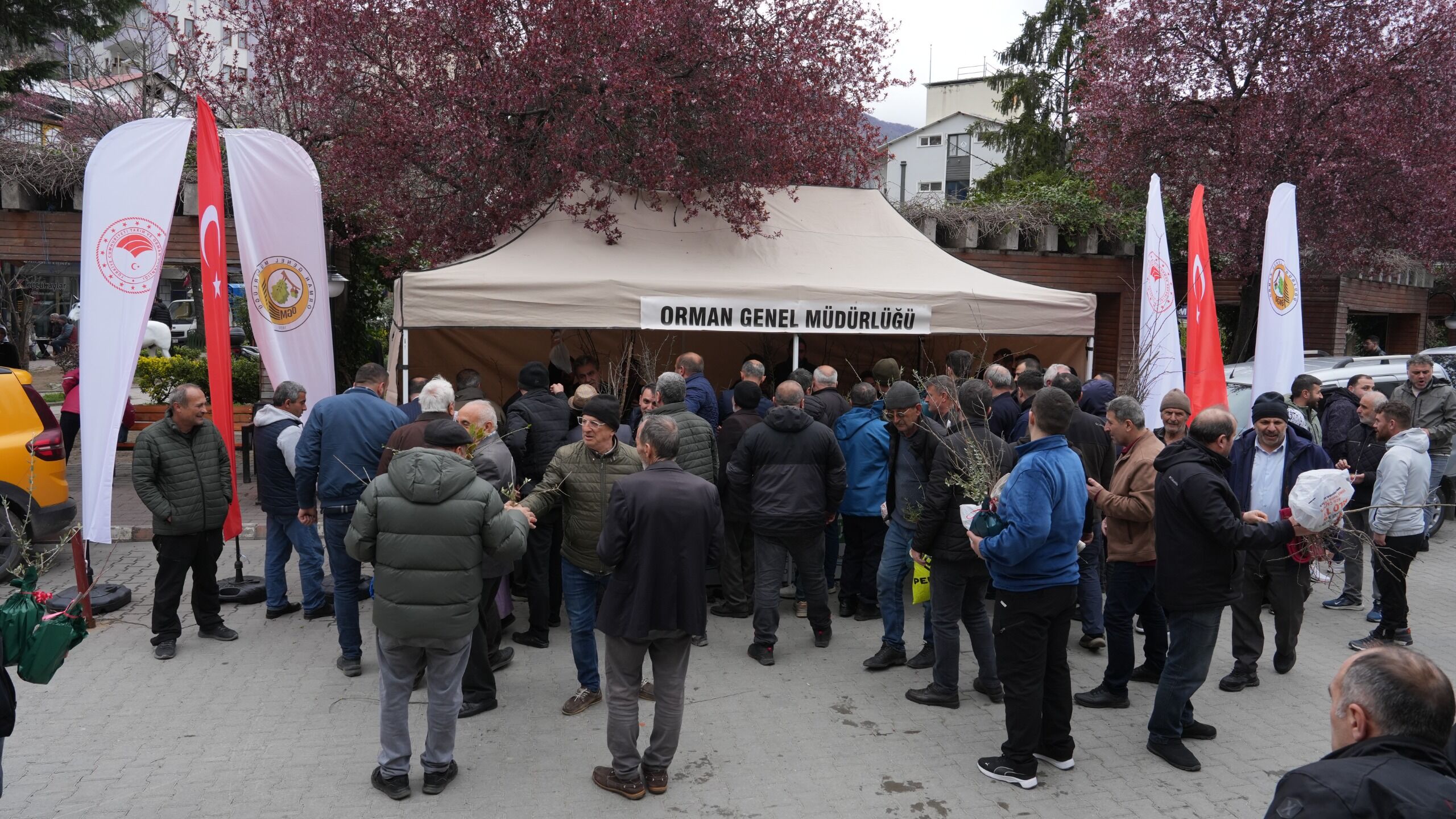 7 Bin Fidan Dağıtıldı (3)