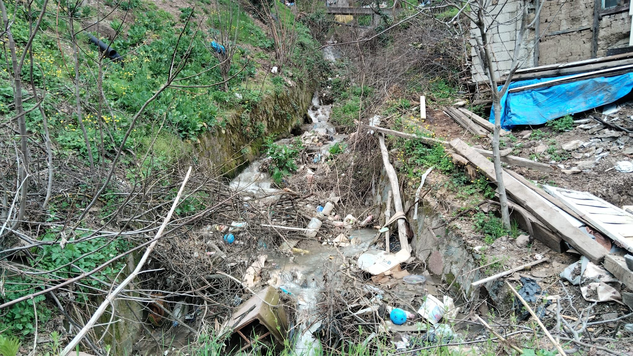 Artvin Bunu Mu Hak Ediyor?-2