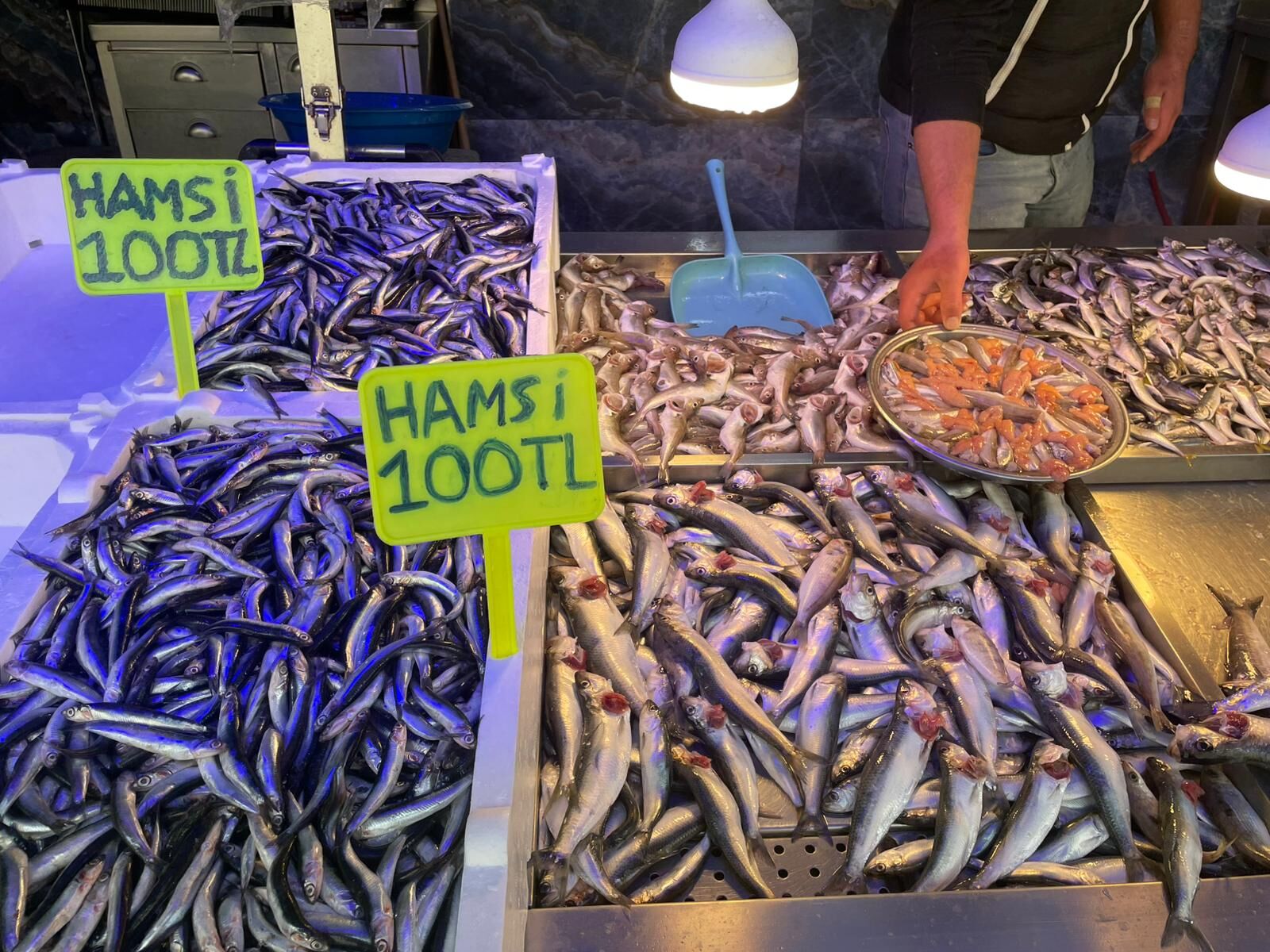 Fiyatı Dipte, Talep Neden Zirvede Değil (1)