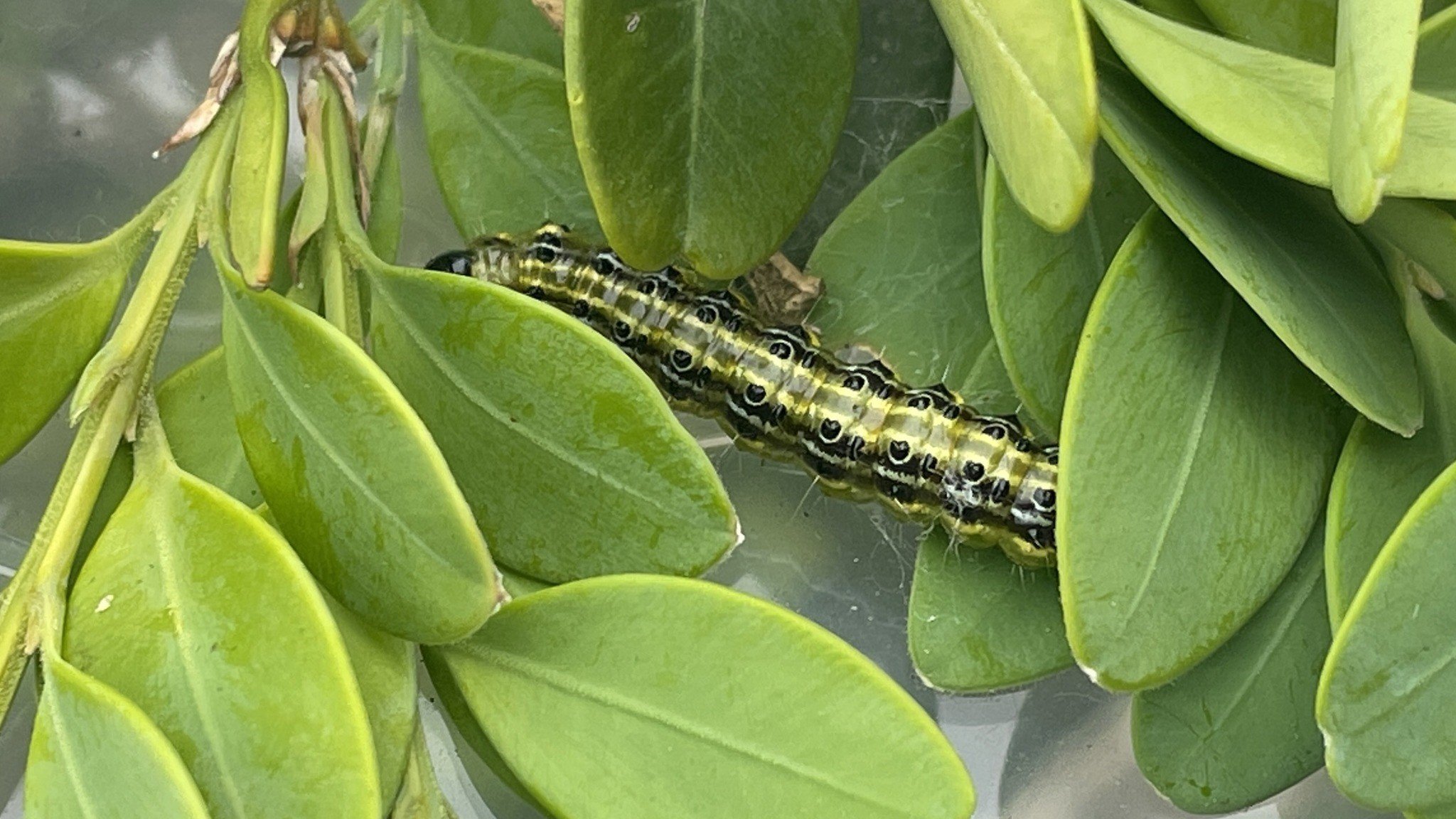 Bazı vergi istisnaları ve teşviklerinin kapsamı genişletildi 1