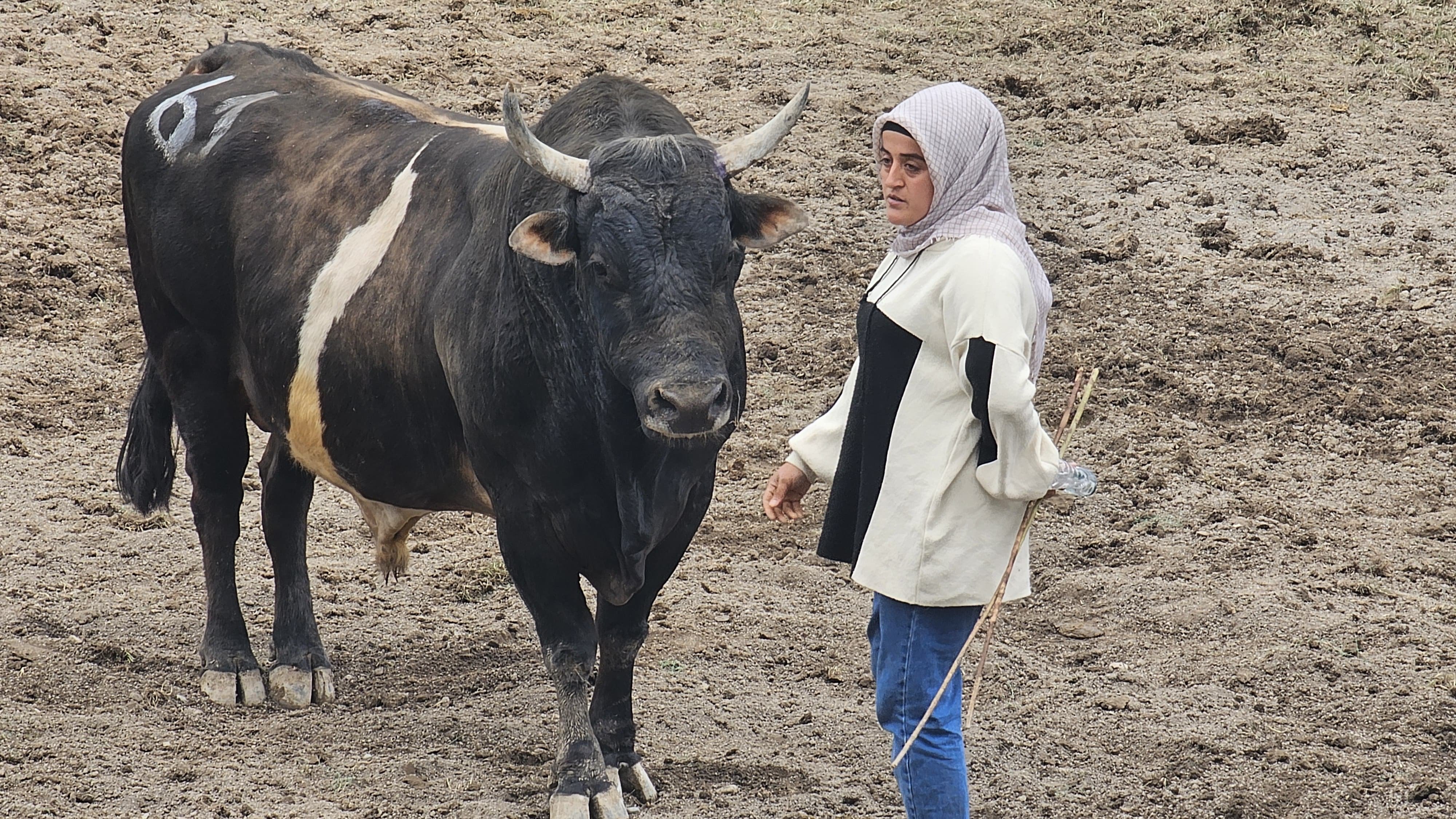 0D400F49 345F 45F7 Ba31 9435Addb48Bc