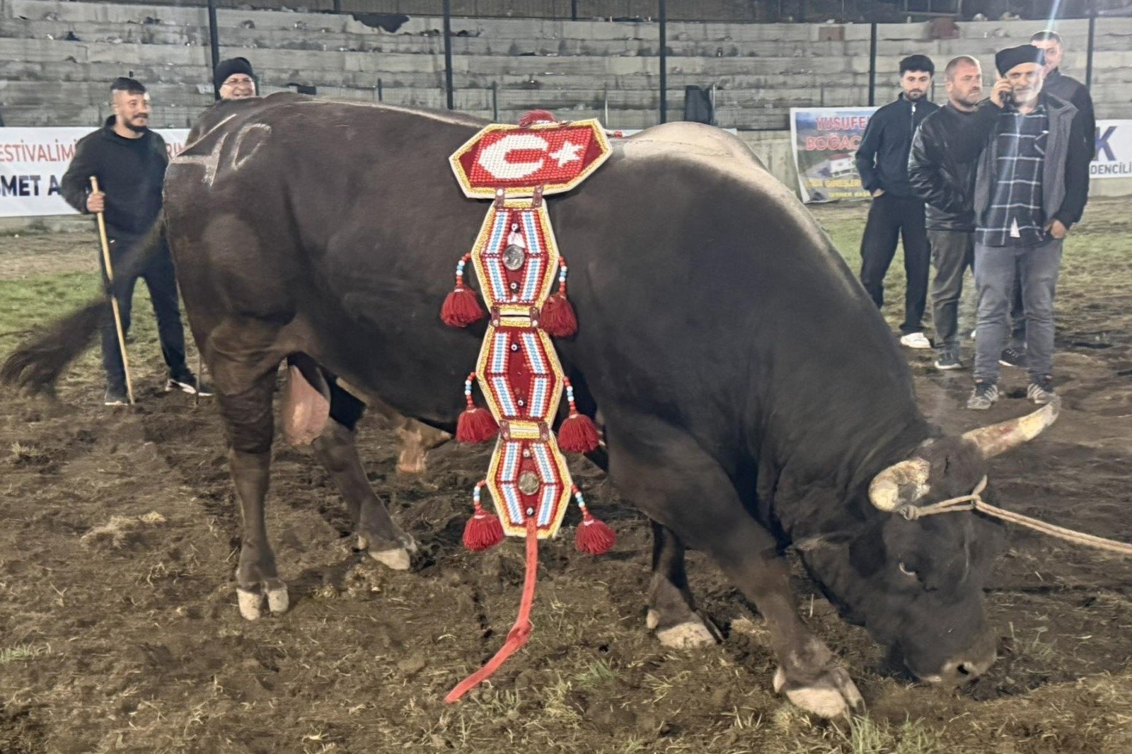 MERALARIN EFENDİSİ POYRAZ
