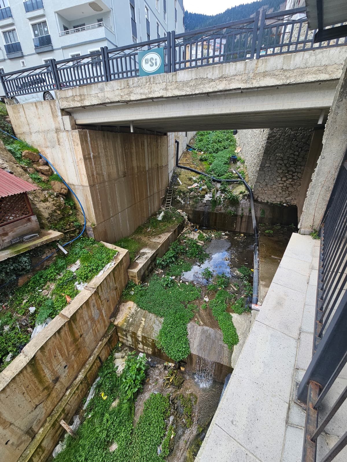 Doğu Karadeniz Turizmi Dünya ile Buluşuyor-2