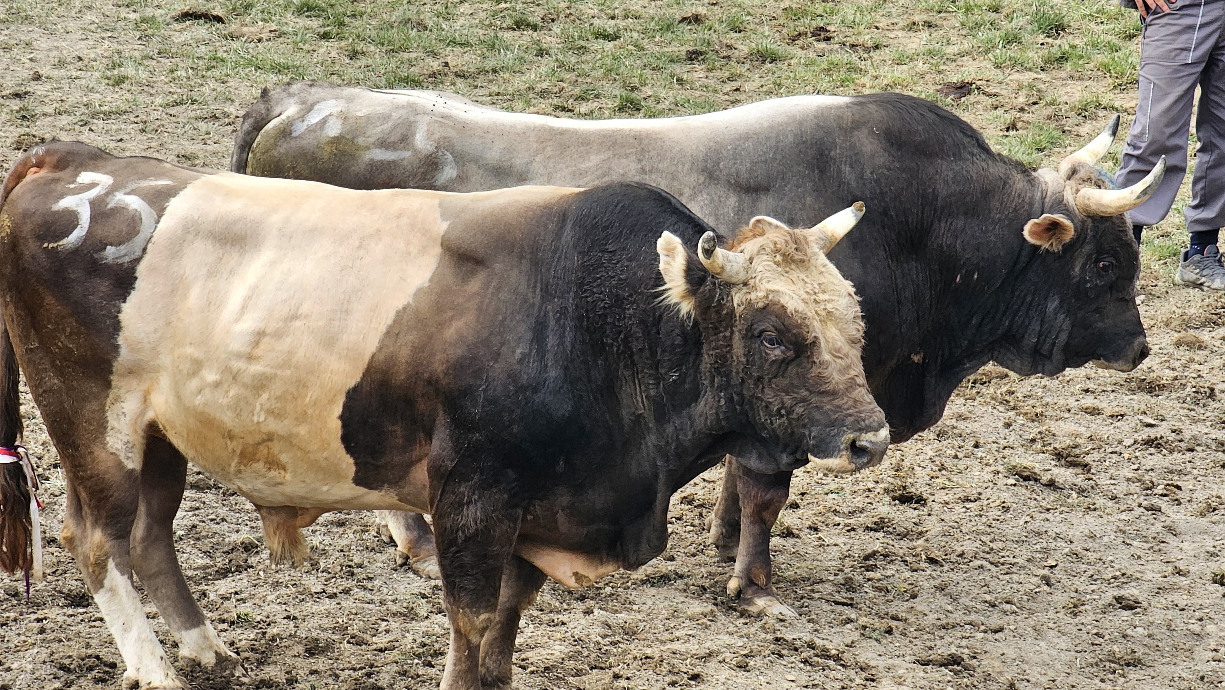 C0F13765 E466 4B05 Bb70 3F1044884Ae8