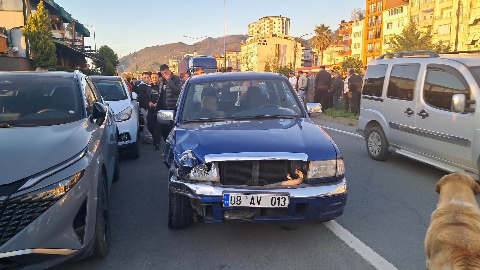 Fe986687 2Af2 4883 8D44 B3A7A6051A1E